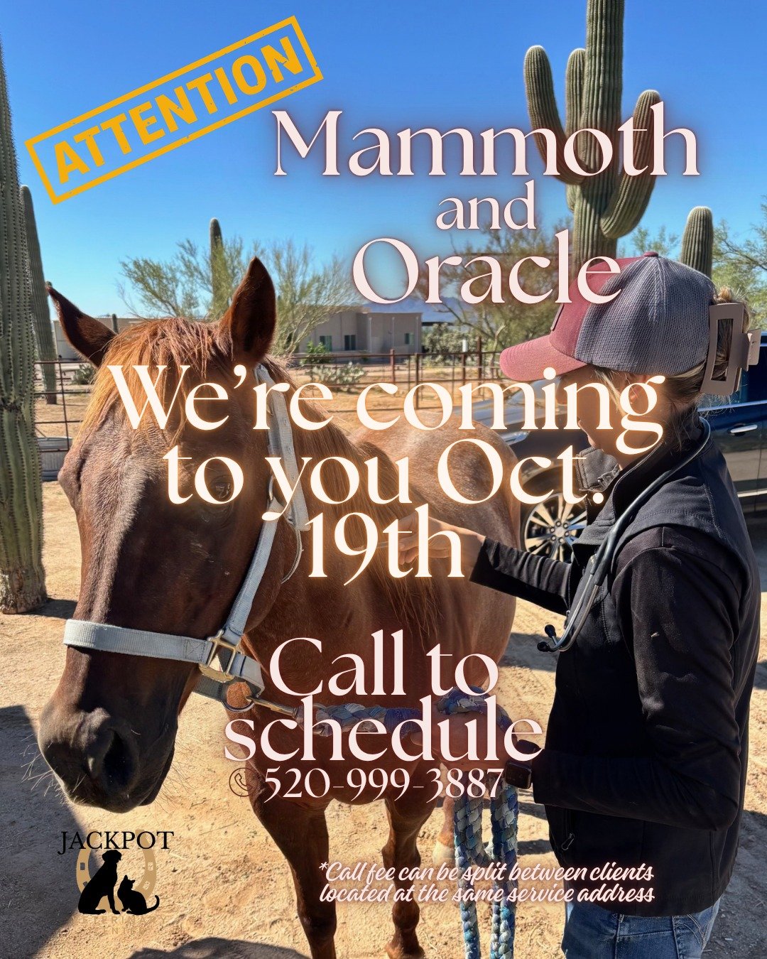 🚨 Attention Mammoth &amp; Oracle Horse Owners!🚨 

Our mobile equine team will be in the Mammoth and Oracle area on October 19 and currently has availability for appointments.

If your horse is due for vaccines, dental care, a wellness exam, or anot