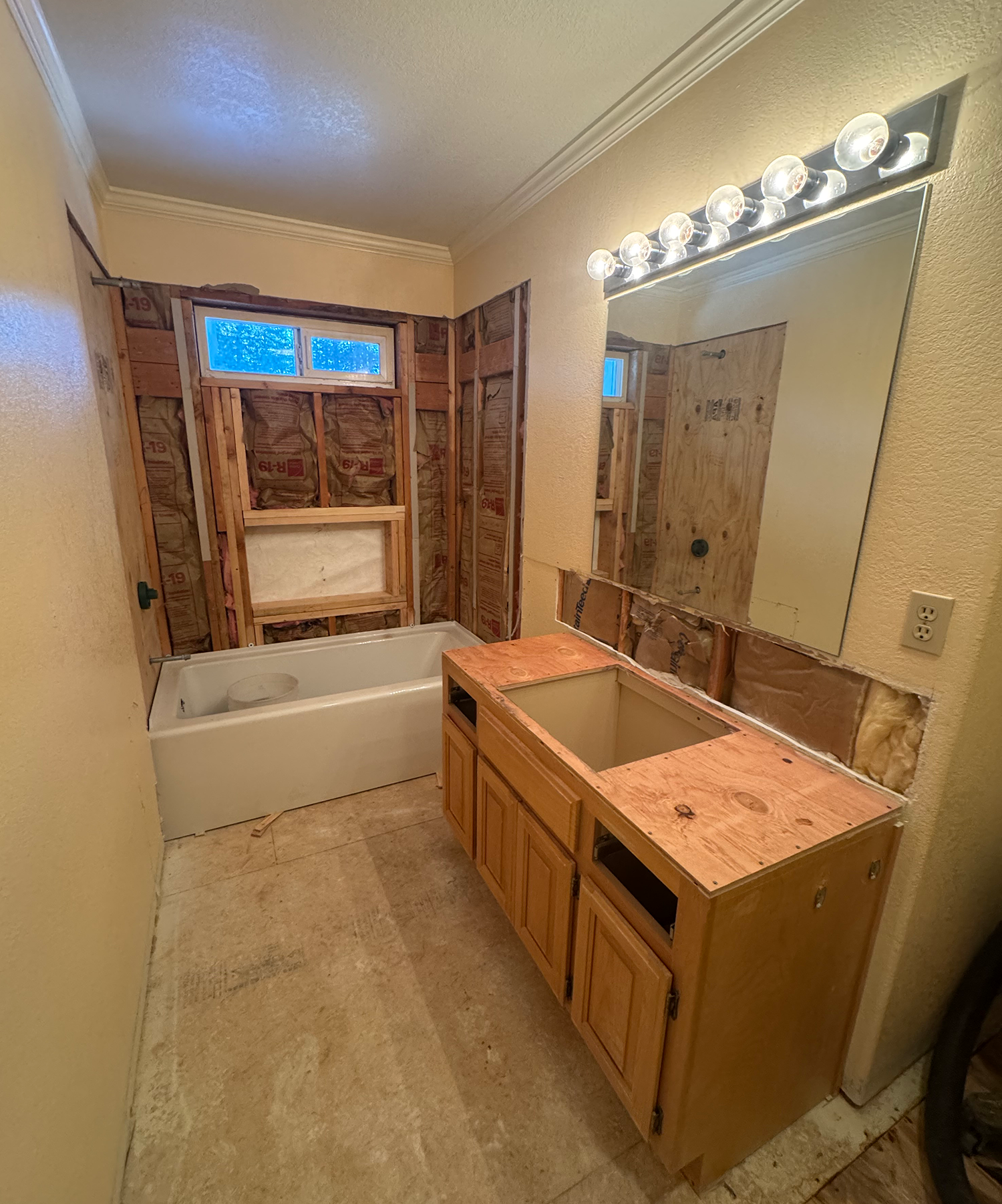 bathroom being deconstructed and remodeled