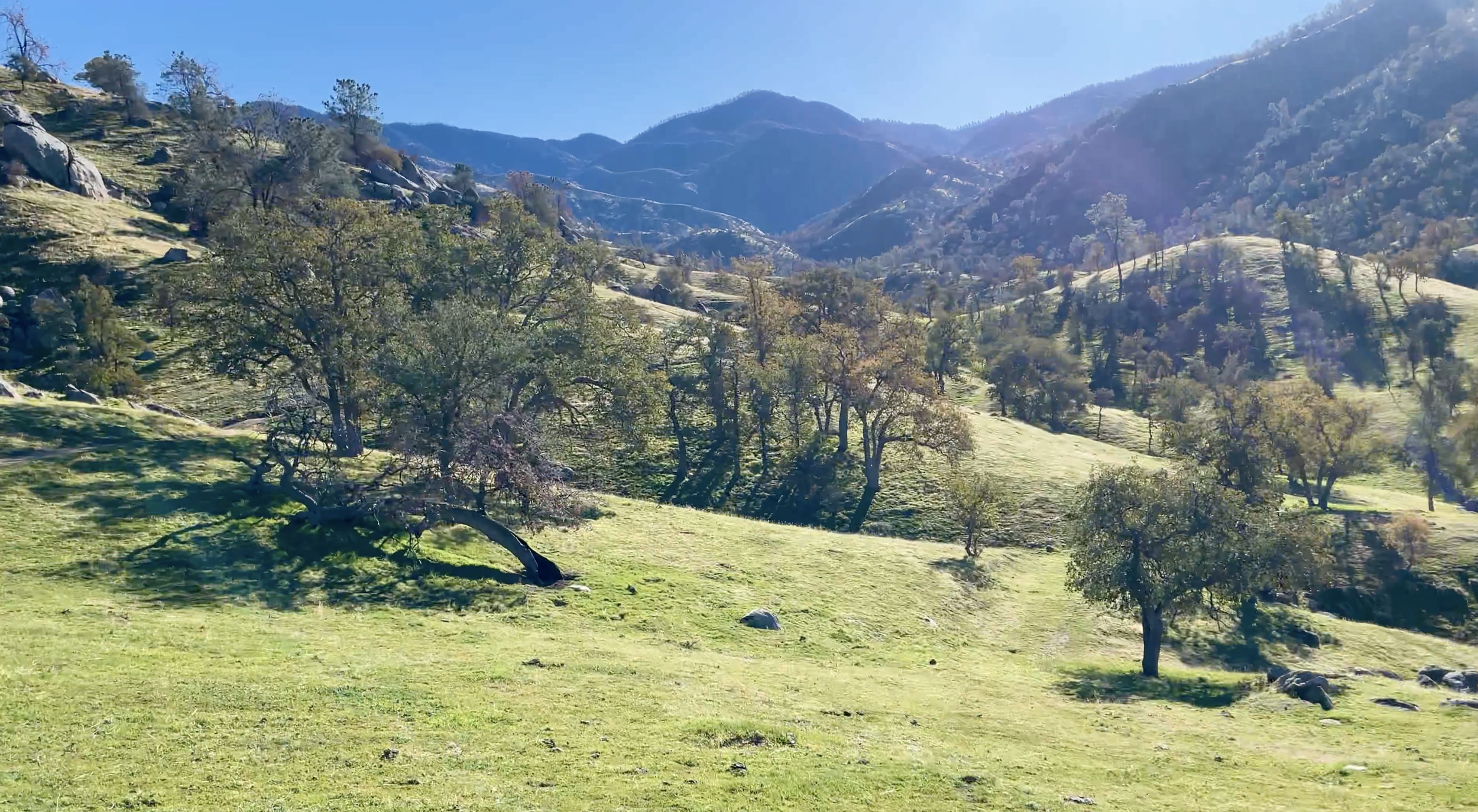 Green hill with trees and a mountain range in the back view.  