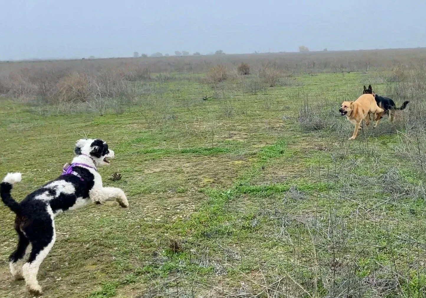 No better exercise than this!