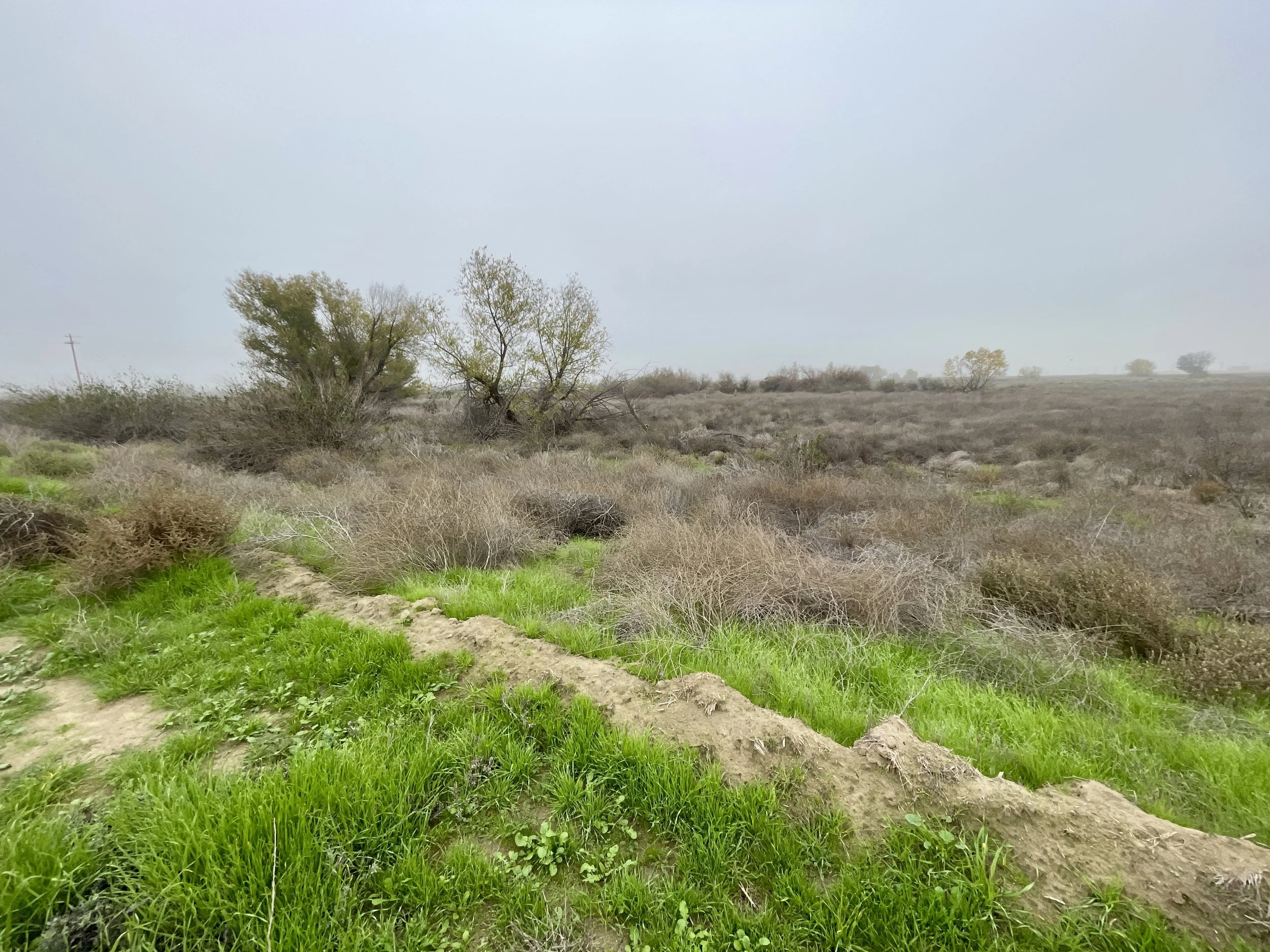 Stockdale Ranch is full of great open terrain.  