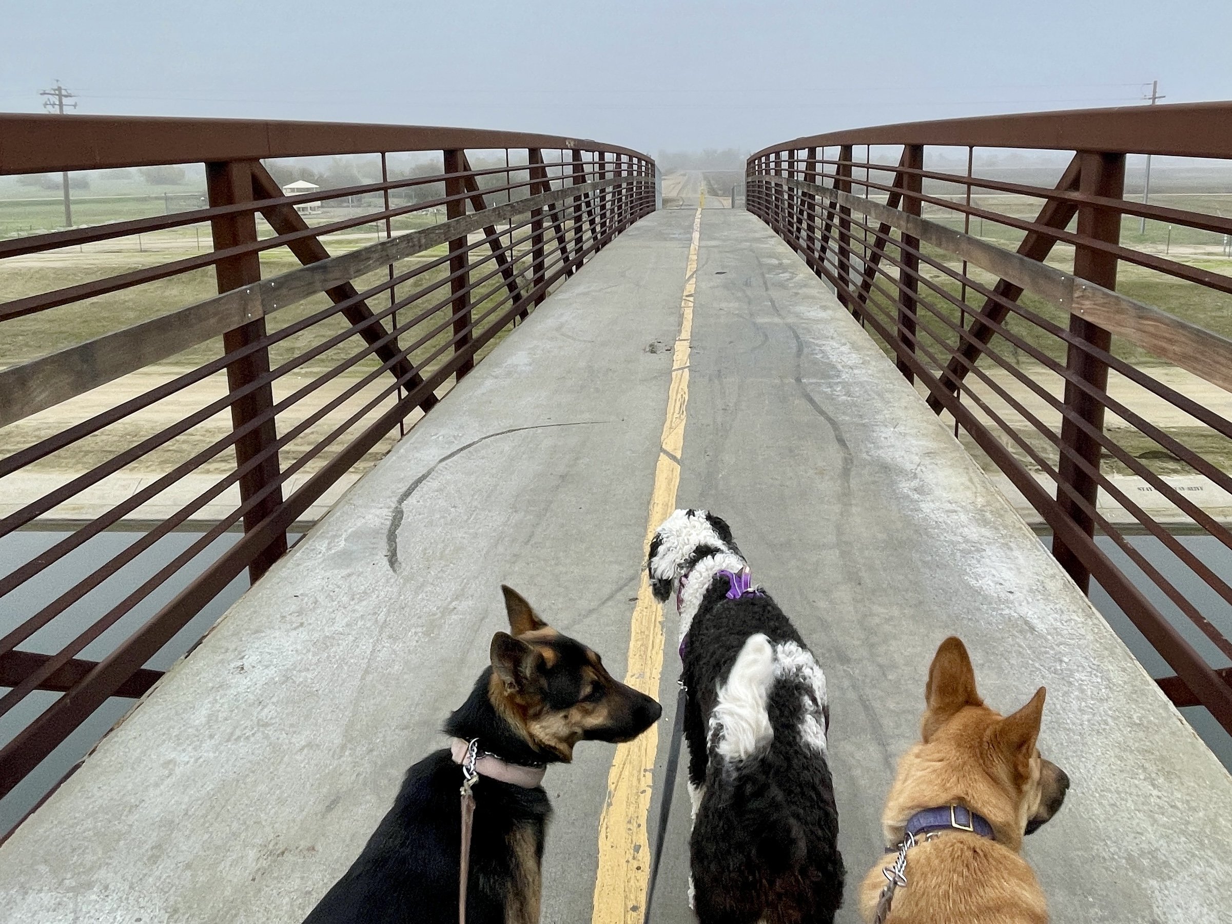 Entering the Stockdale Ranch area.