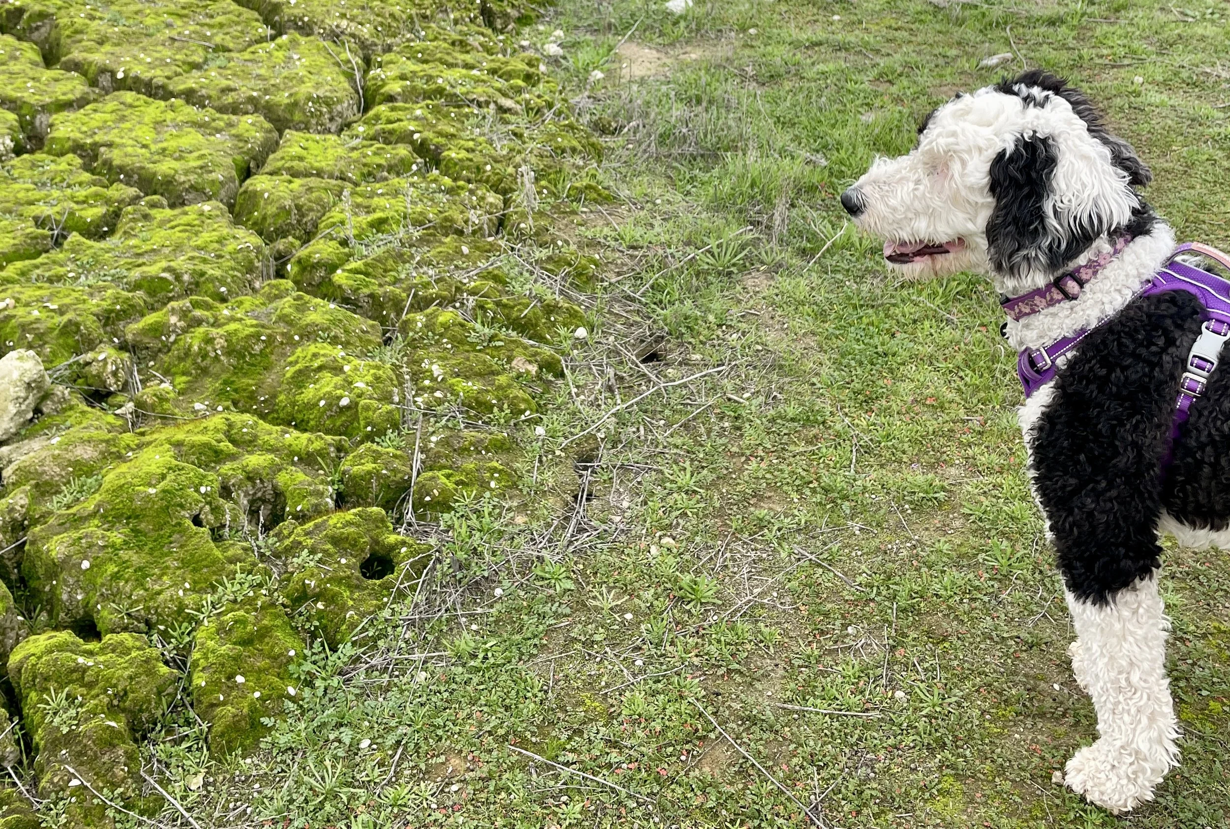 Eddy looking out at the vast distances.  