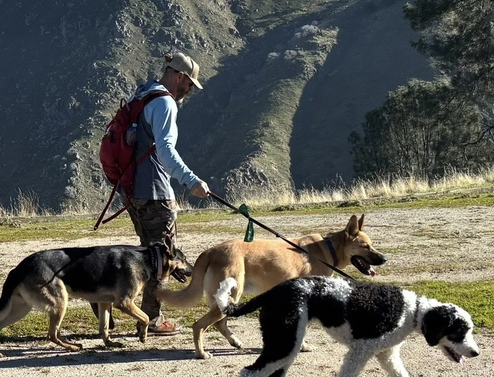 A man hiking with three dogs in a mountainous area with rocky cliffs and grassy patches.
