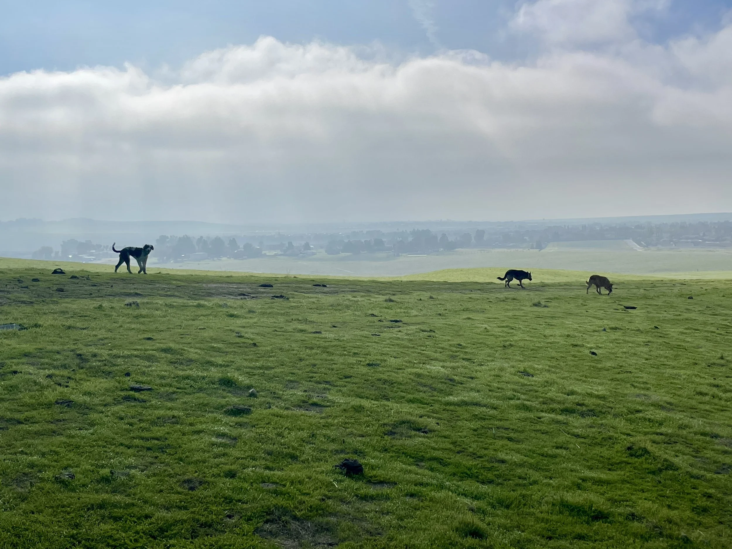 Private Ranch Adventure (Rolling hills, endless discovery, extremely safe.)