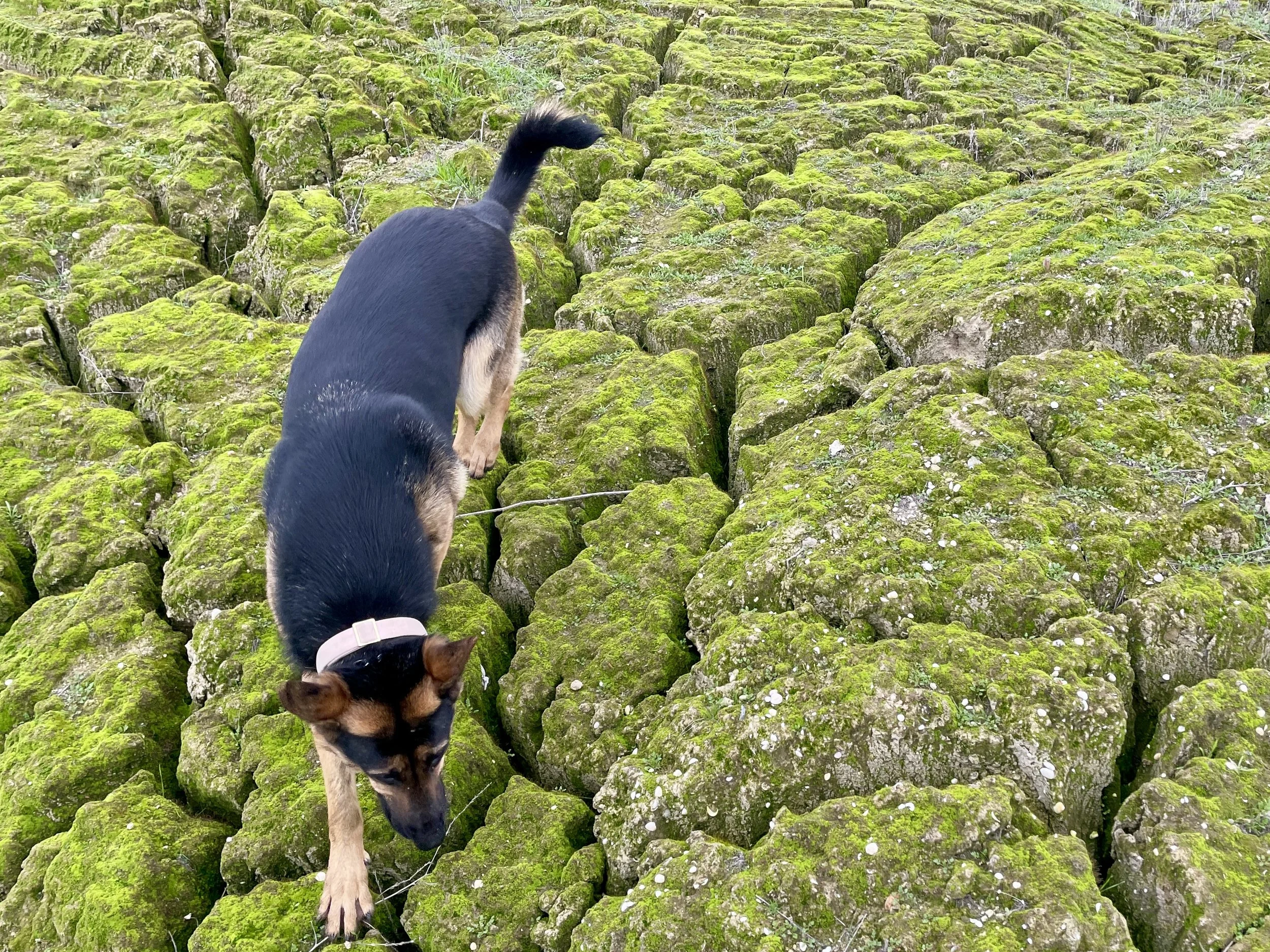 Esther is discovering some new terrain.  