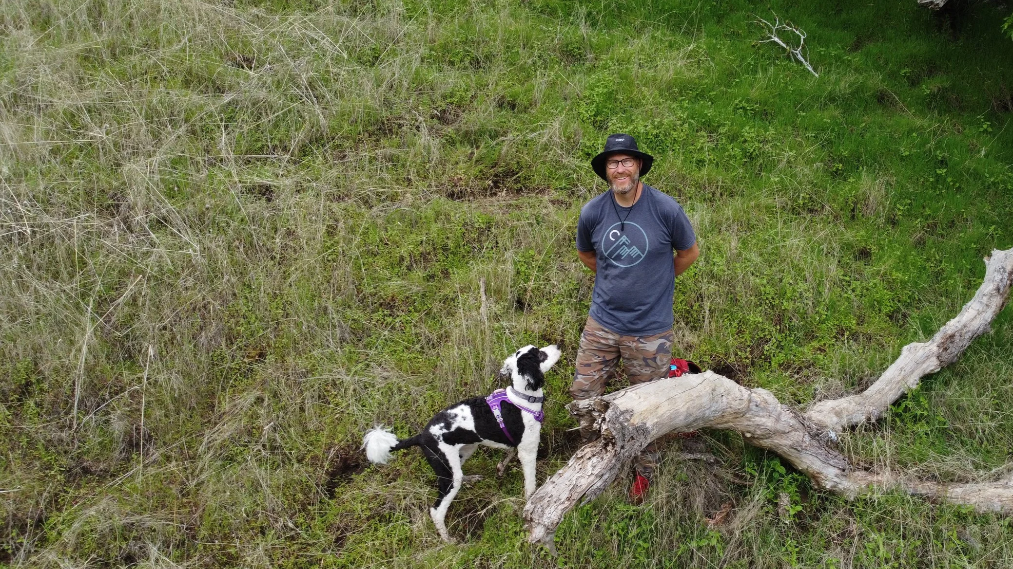 A man in a blue t-shirt and camouflage shorts standing behind a fallen tree trunk with a black and white dog looking up at him in a grassy, green outdoor area.