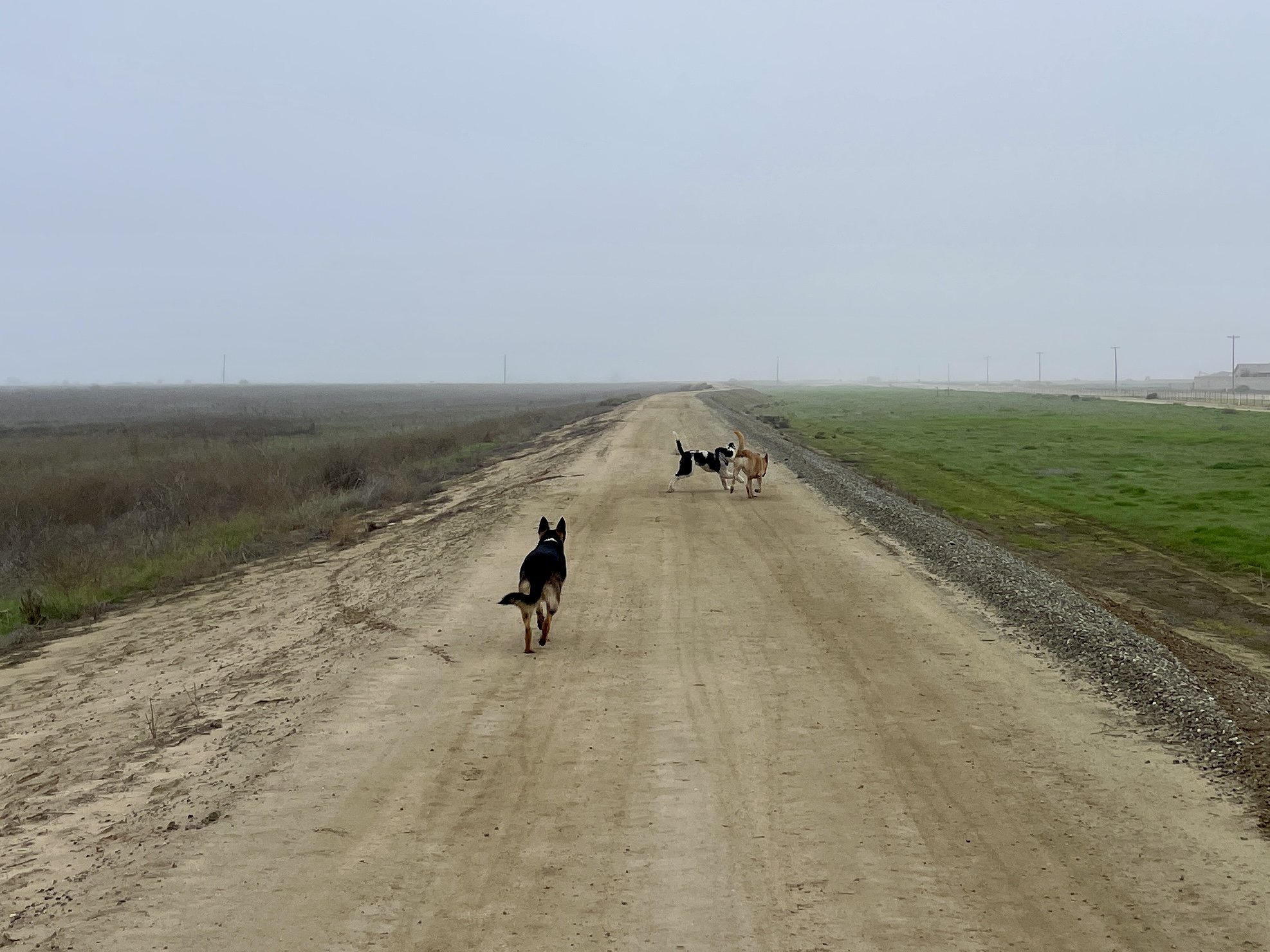 Endless miles of hiking roads.  