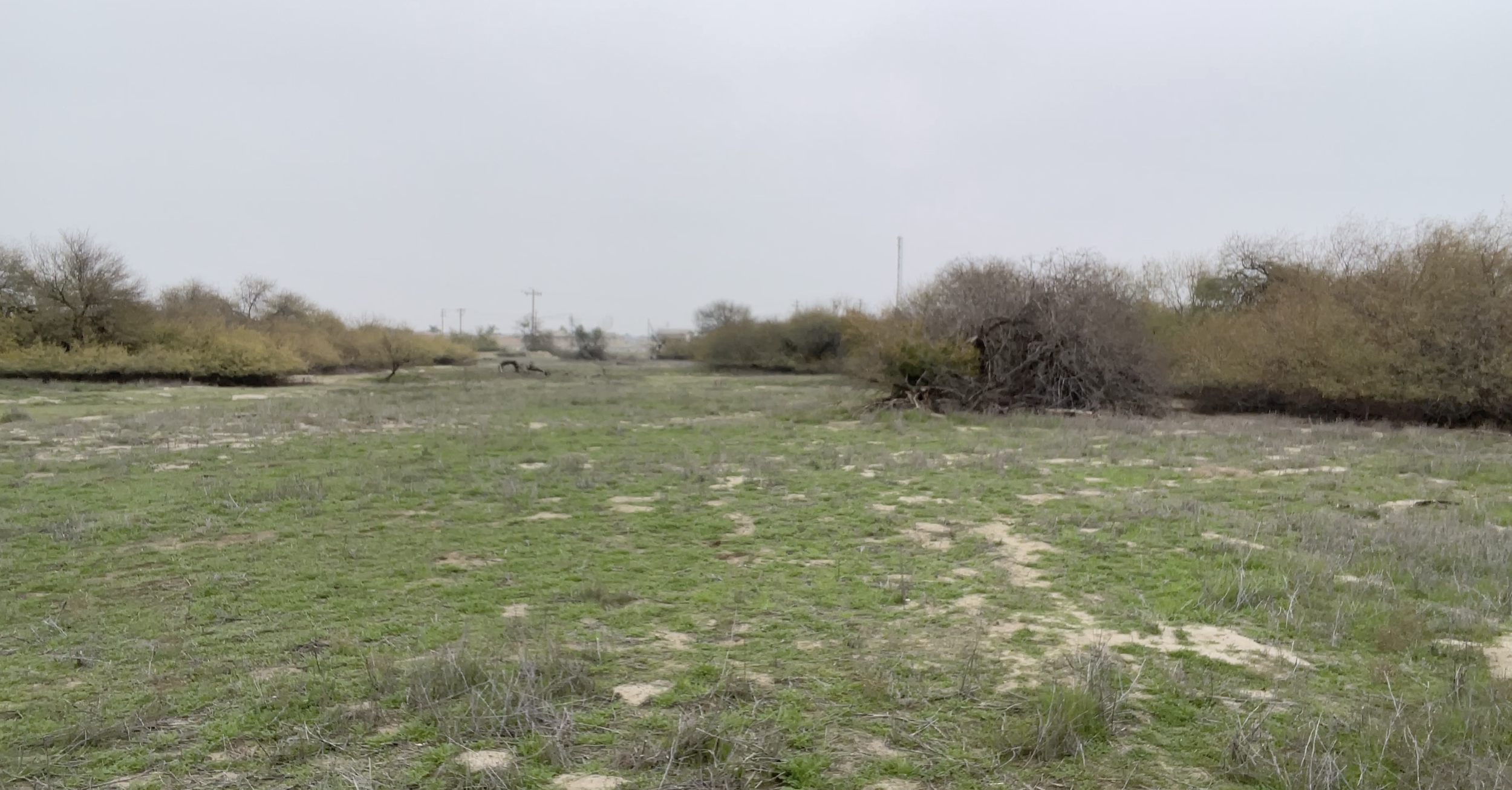 Stockdale Ranch Adventure