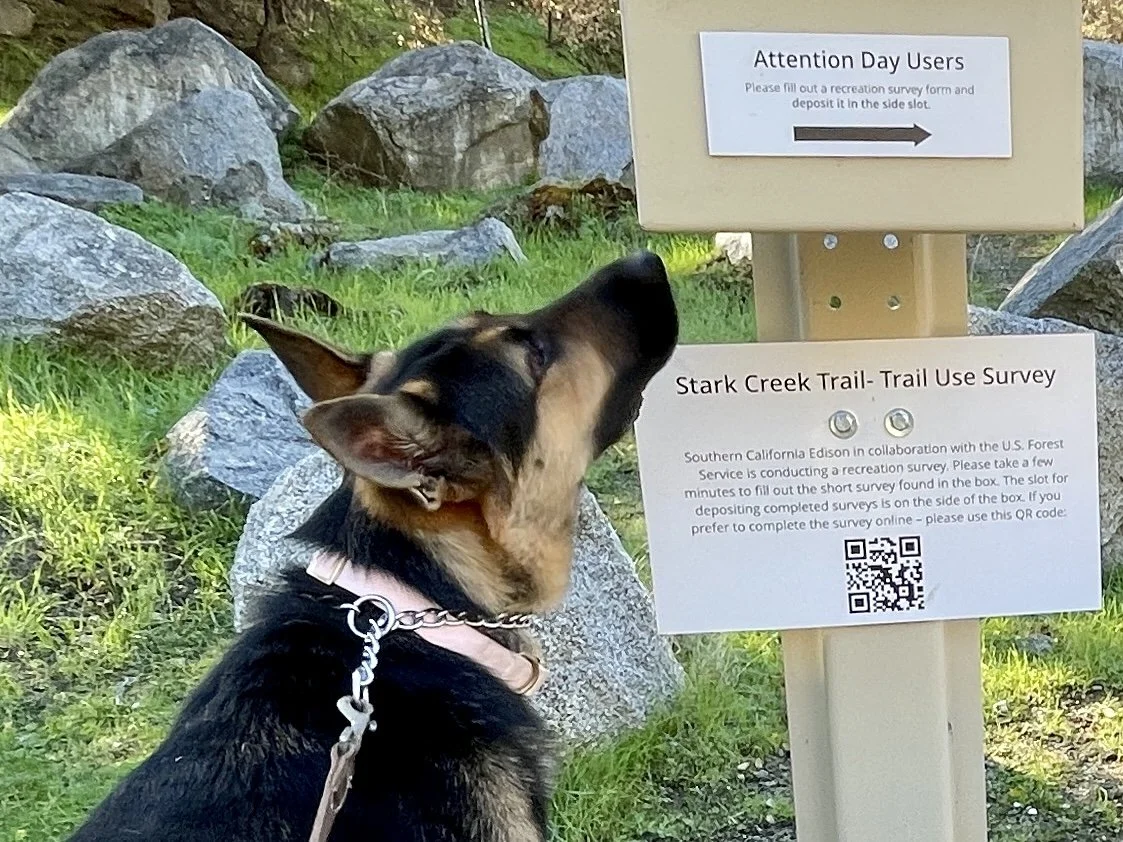 Esther checks out the trail head signage for scents.