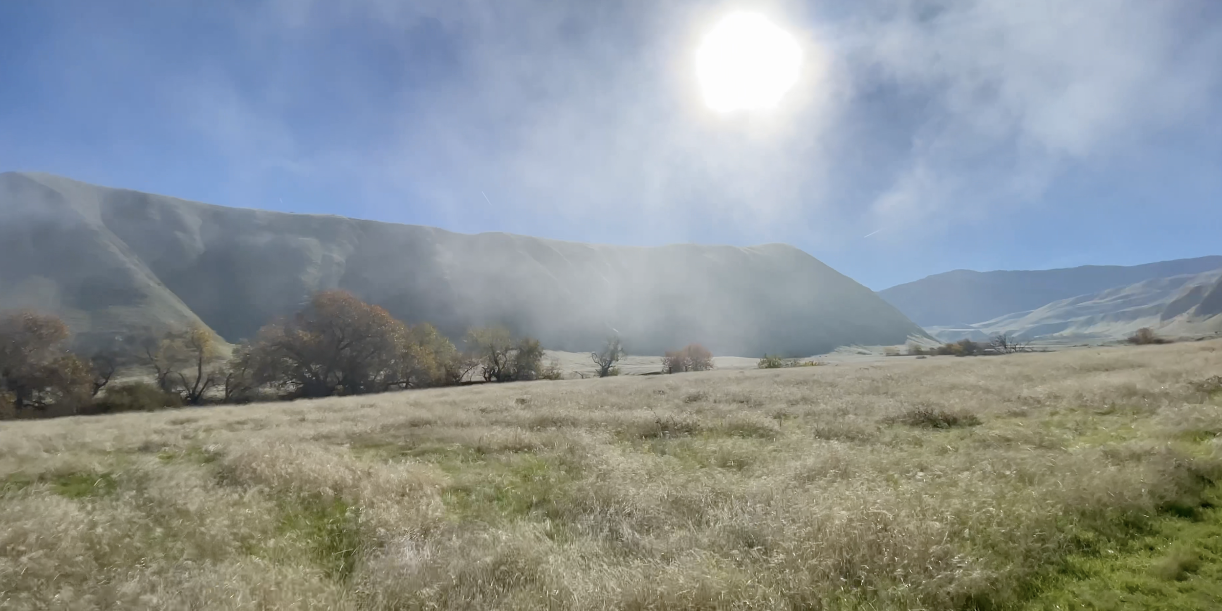 A sunny day iwth green grass fields and some trees in the distance.