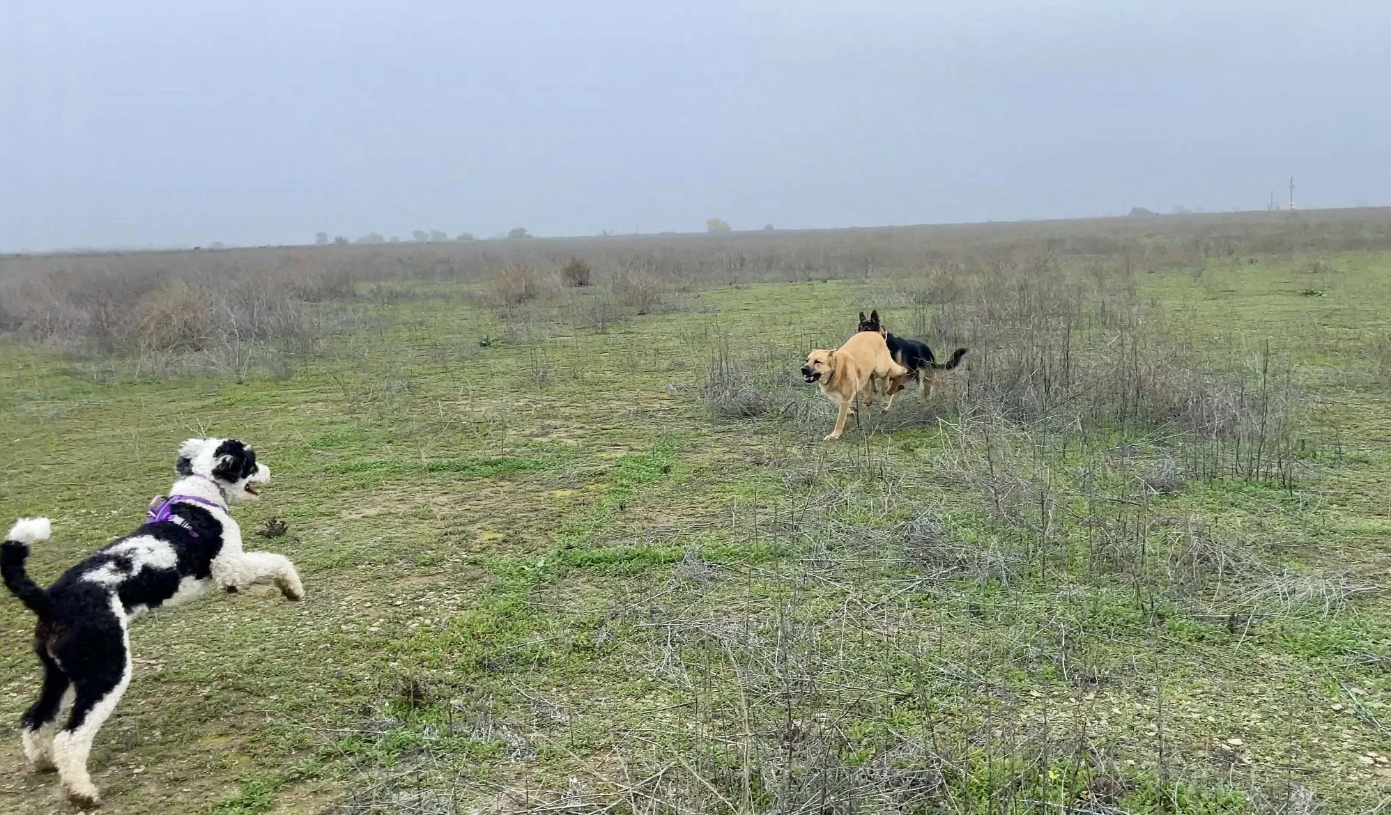 No better exercise than this!