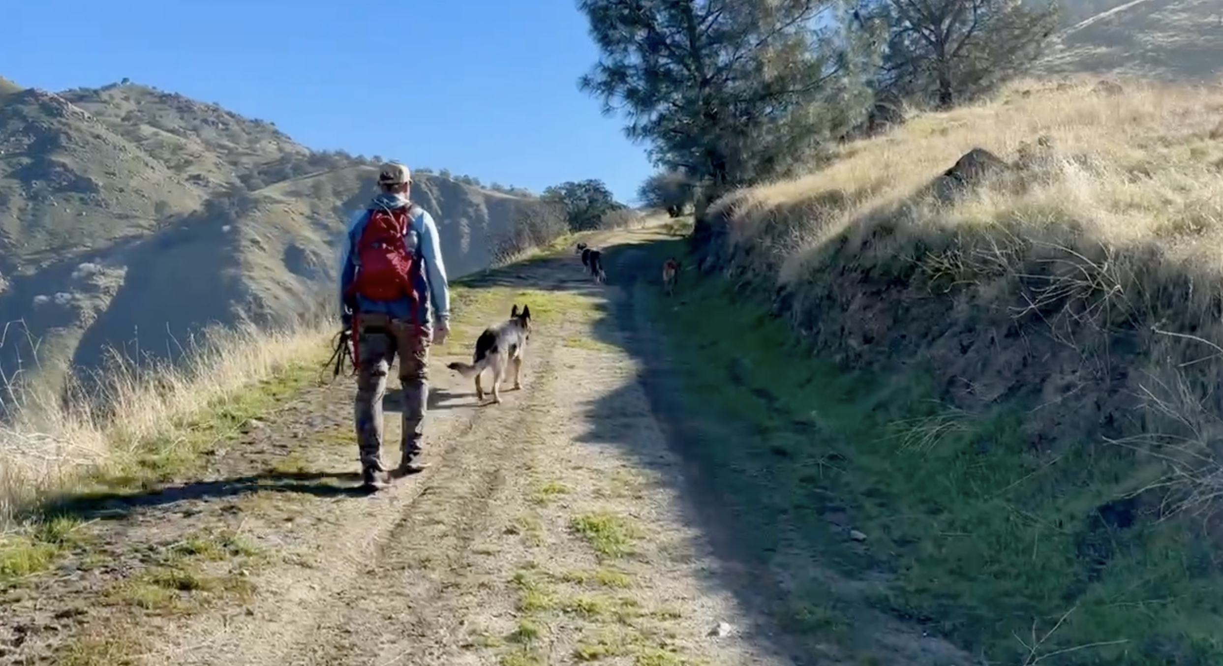 A man in a red backpack walks behind a dog up a trail.  