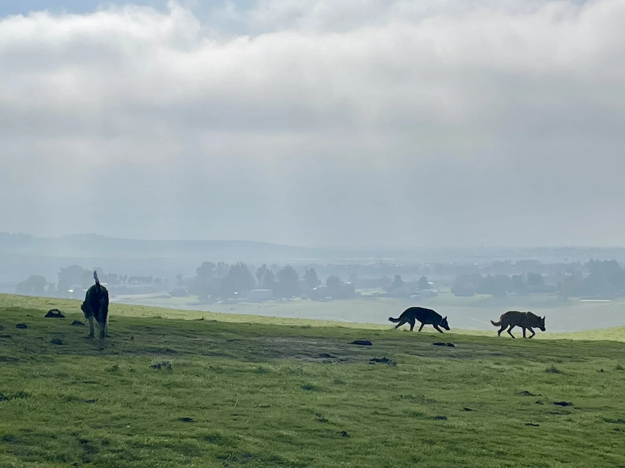 Private Ranch Adventure