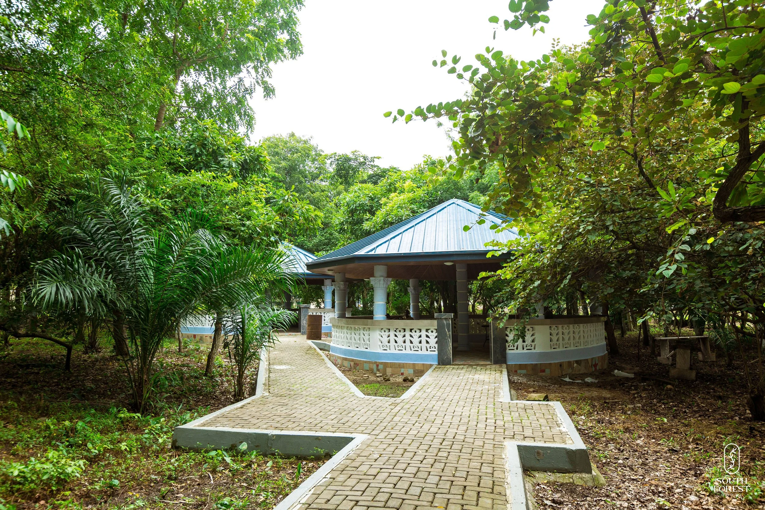 A paved walkway leads to a small covered pavilion with a blue metal roof, surrounded by lush green trees and plants in a forest setting.