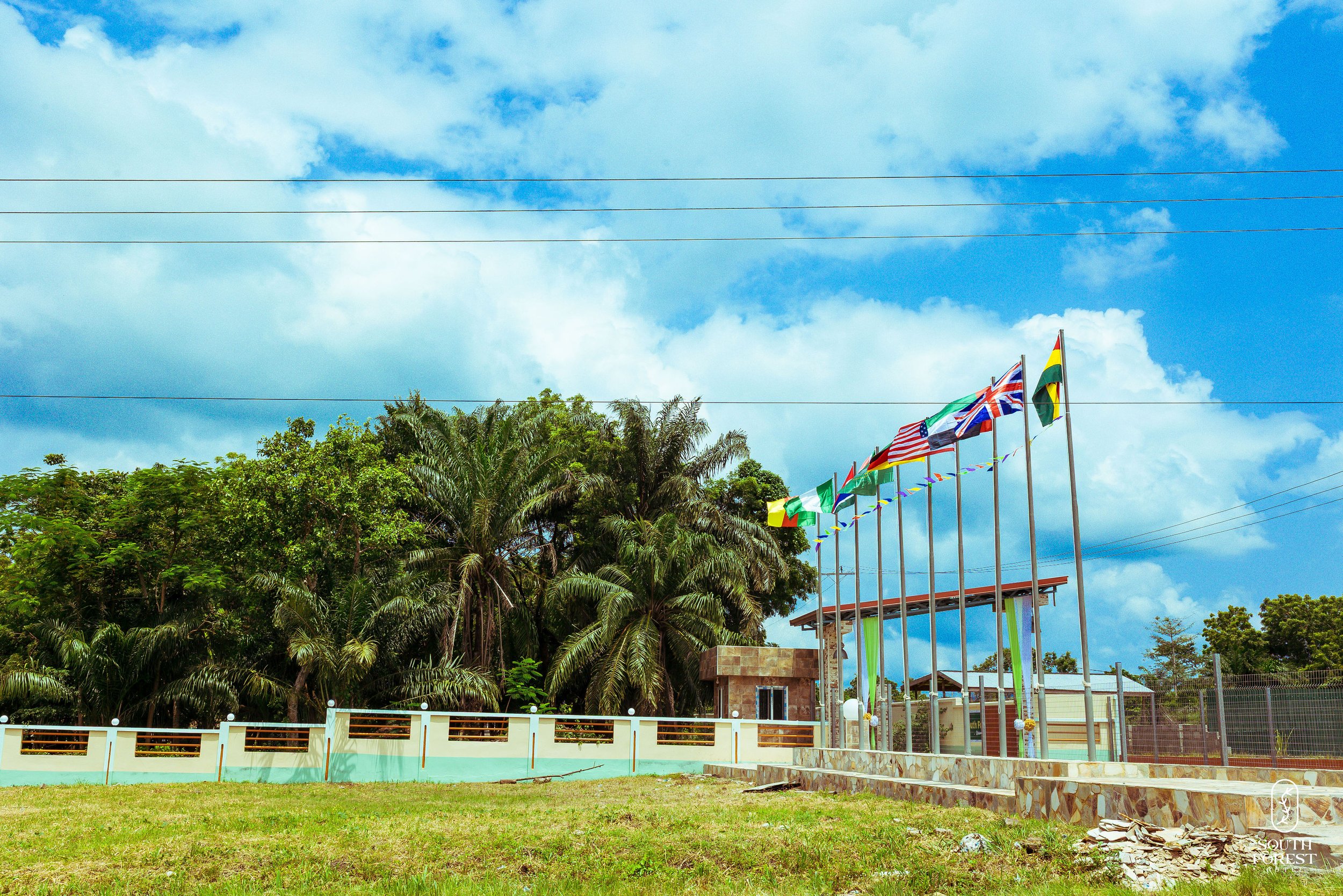 A row of international flags flying on tall flagpoles on a grassy area, with lush green trees behind and a partly cloudy blue sky overhead.
