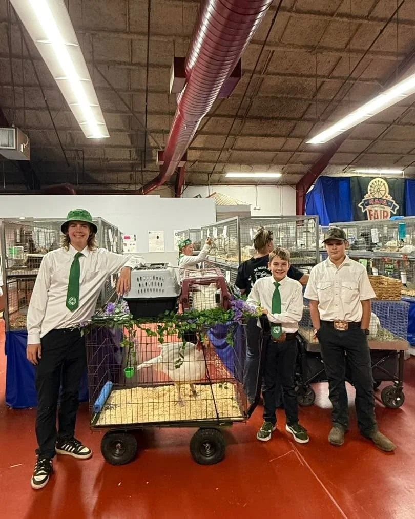Cole and Julian Damron and Jack Janovich on their way to the auction block with their Champion meat birds!

Locally &amp; lovingly raised, the Junior Livestock Auction is happening NOW through the afternoon! These kids have worked hard all year for t