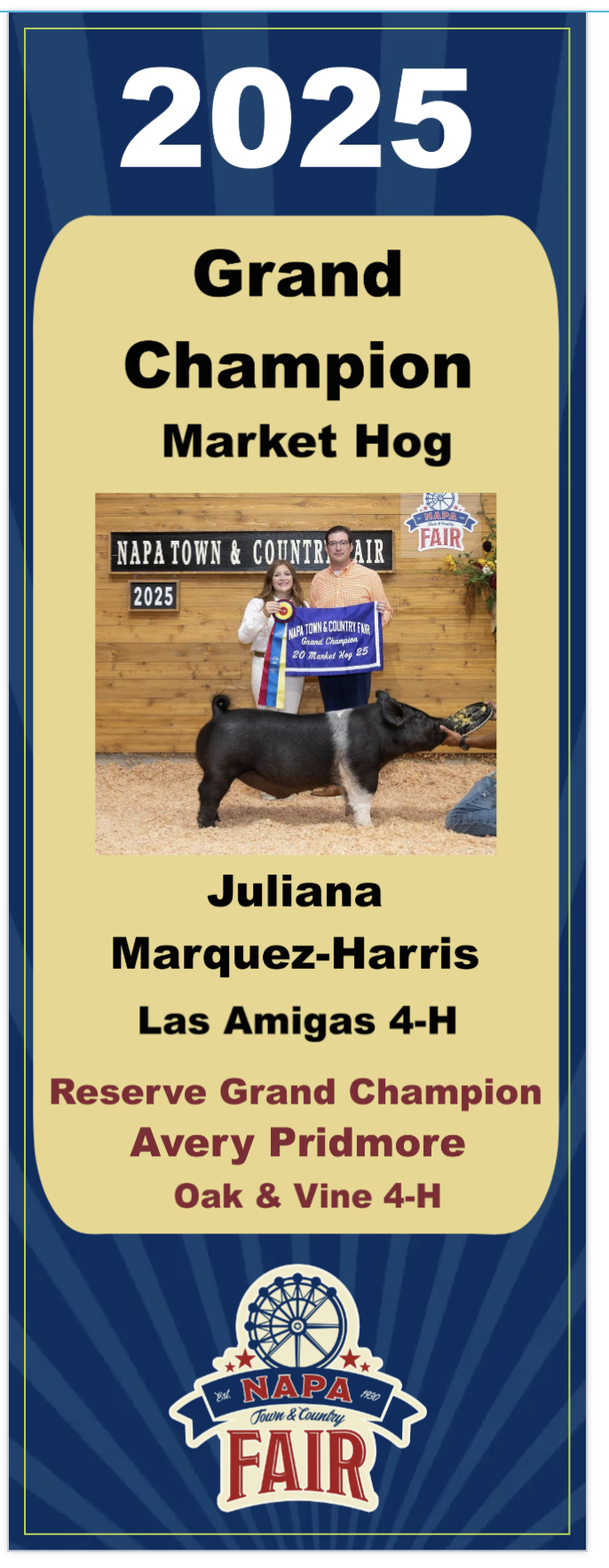 A purple ribbon and a large blue banner held by people in front of a wooden backdrop at the Napa Town & Country Fair, celebrating the grand champion market hog in 2025, awarded to Juliana Marquez-Harris of Las Amigas 4-H. The scene includes a pig with a person holding its head and a person holding a large blue sign. There are flowers and signs with the fair's logo.