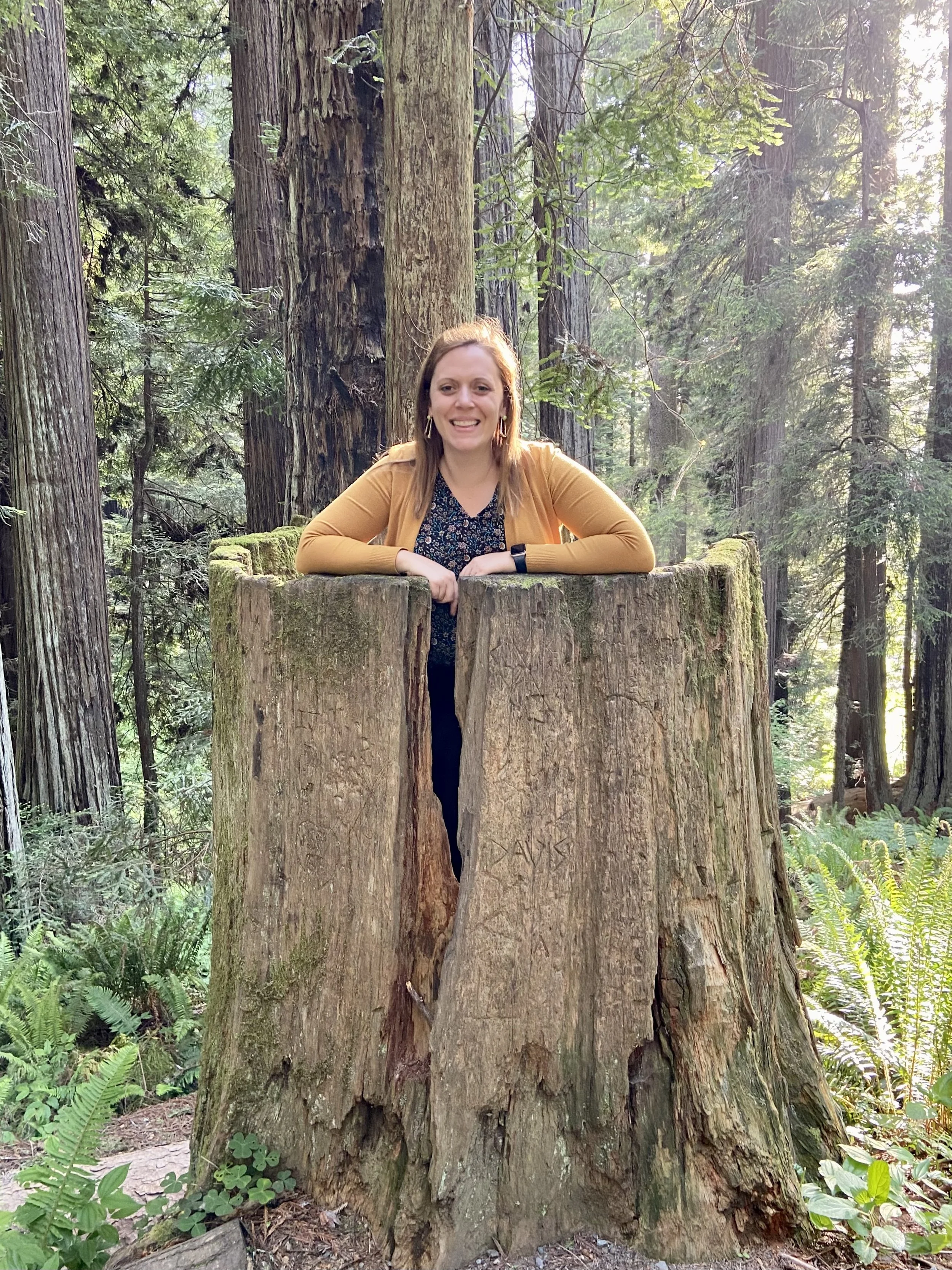 A woman with reddish-brown hair, wearing earrings, a dark patterned shirt, and a yellow cardigan, is leaning on a large moss-covered tree stump in a dense forest with tall trees and green foliage.