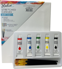 Art Set - Stretched Canvas w/Paint & Brushes