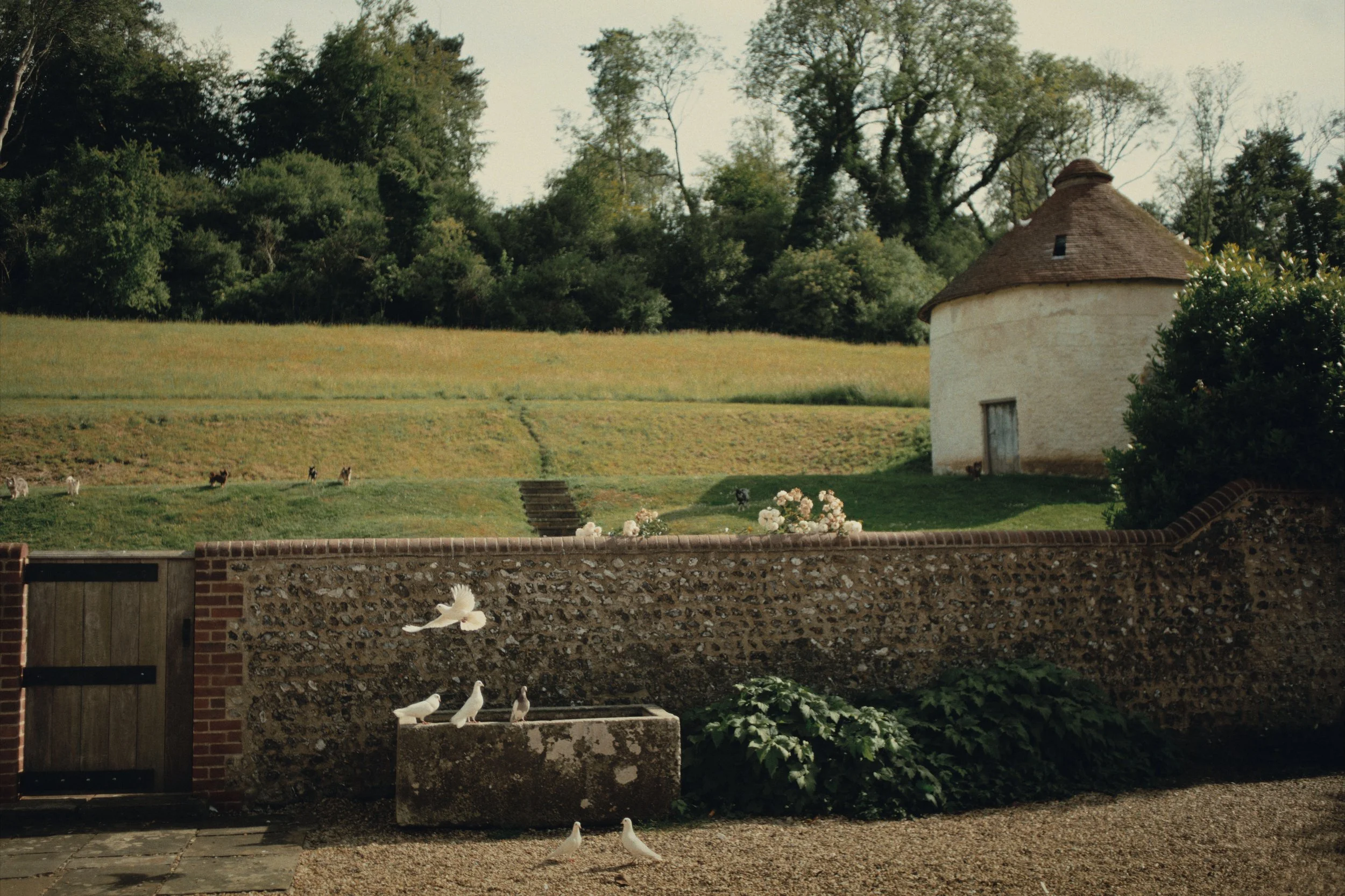 0A7A9281_colour_v2_00000000.jpg