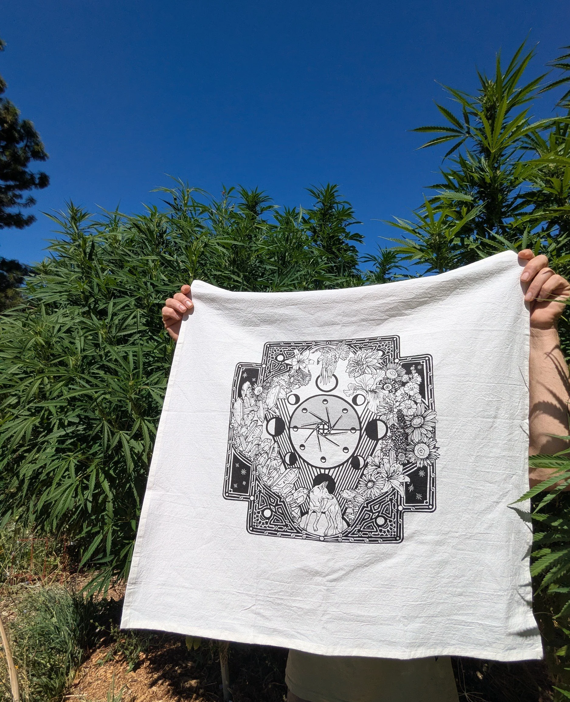MOON MAP GARDEN FLAG