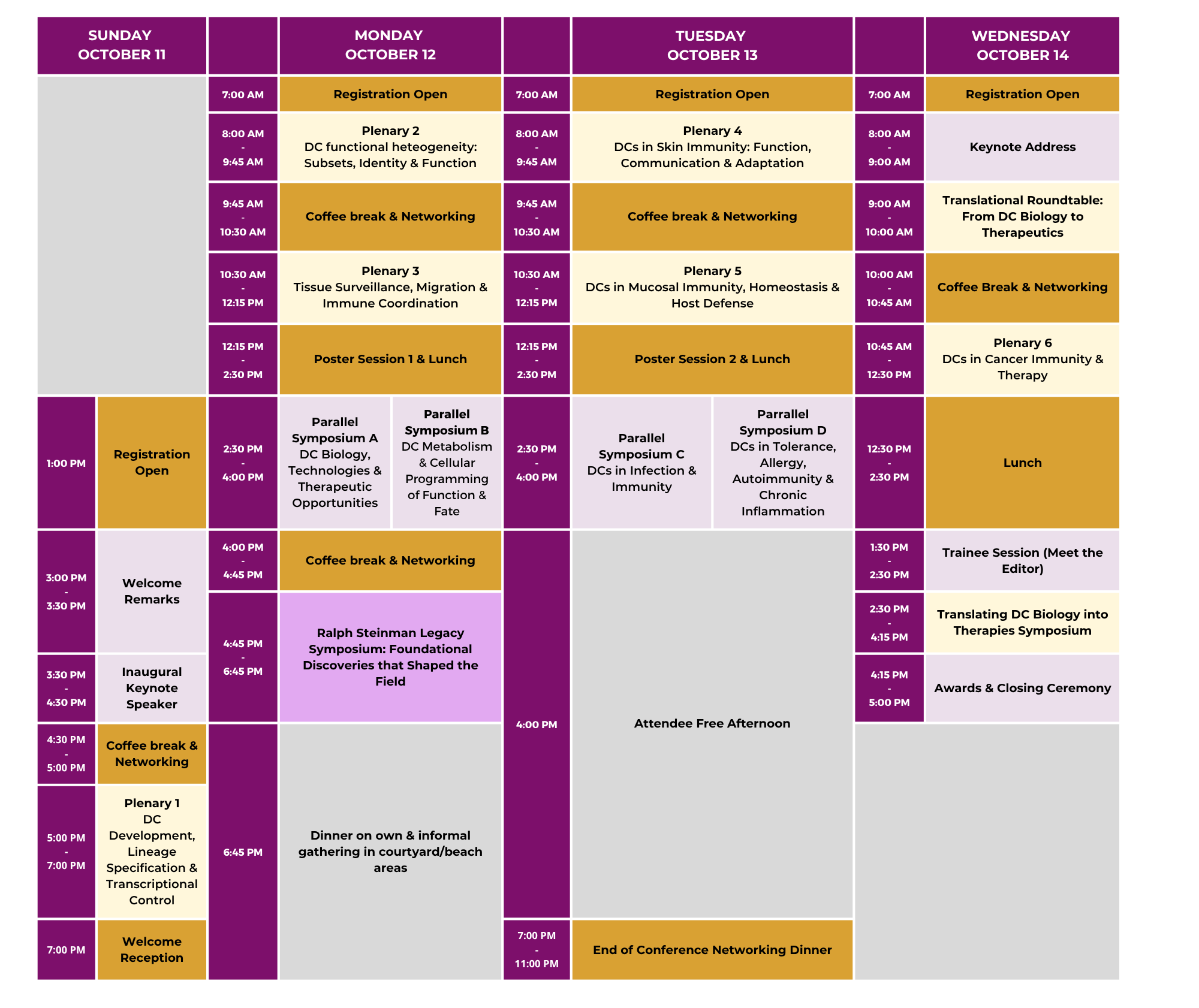 Program Overview — DC Cells 2026