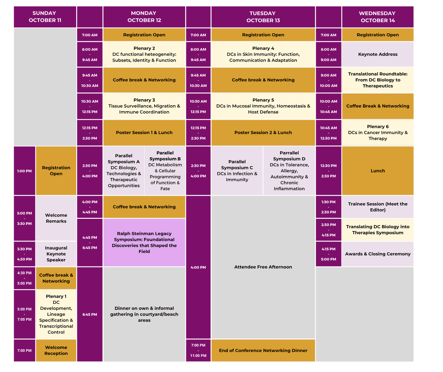 Program Overview — DC Cells 2026