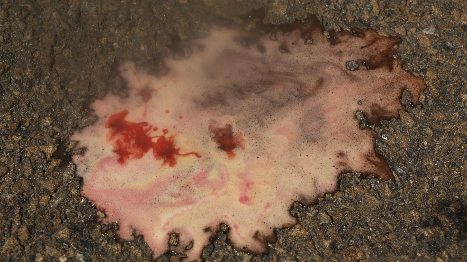 blood on ground.jpg