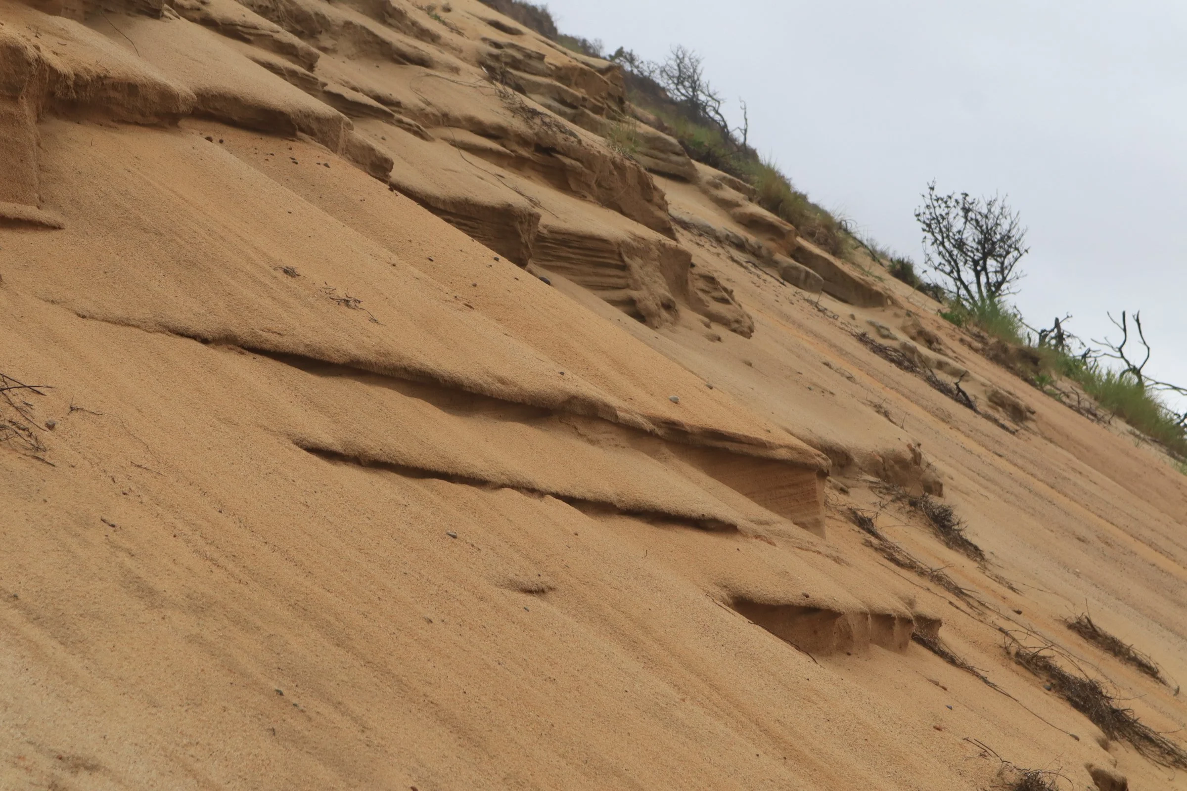 Dune Dream