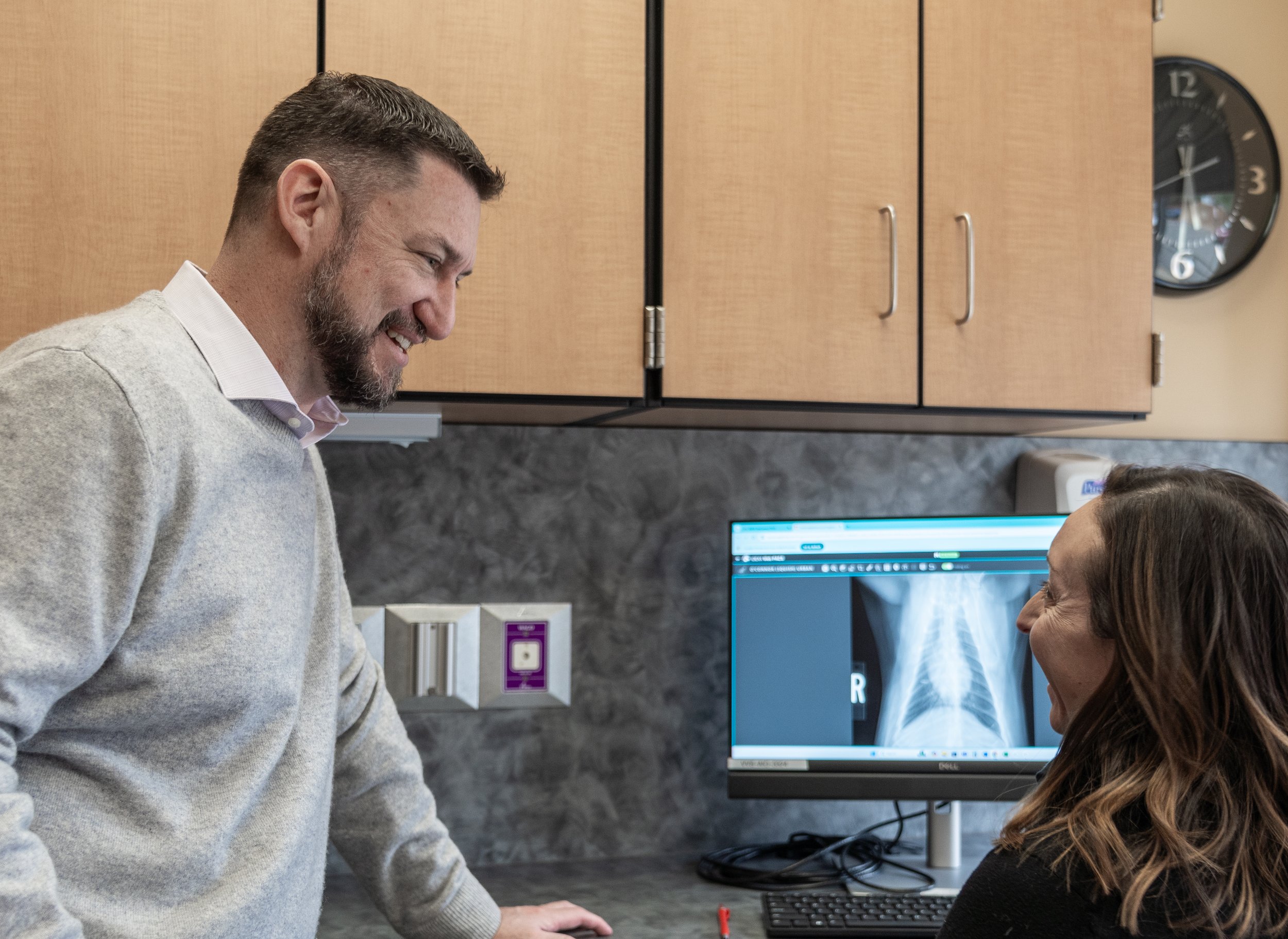 Consultation meeting with veterinarian