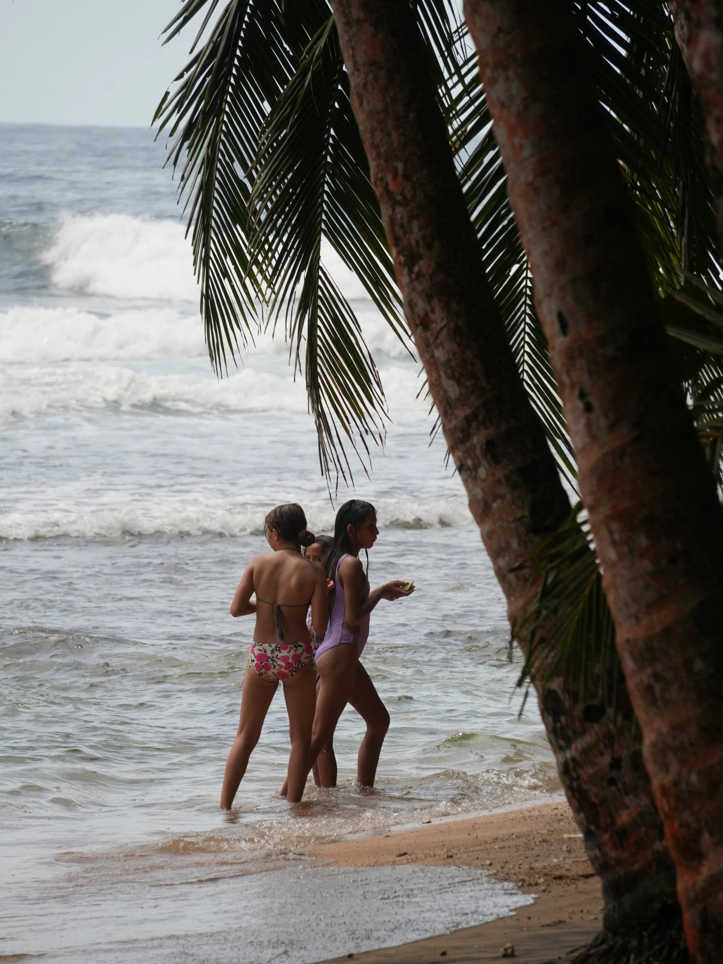 Three people walking into the ocean along a palm-lined beach on the Caribbean coast of Costa Rica, capturing a quiet everyday beach moment.
