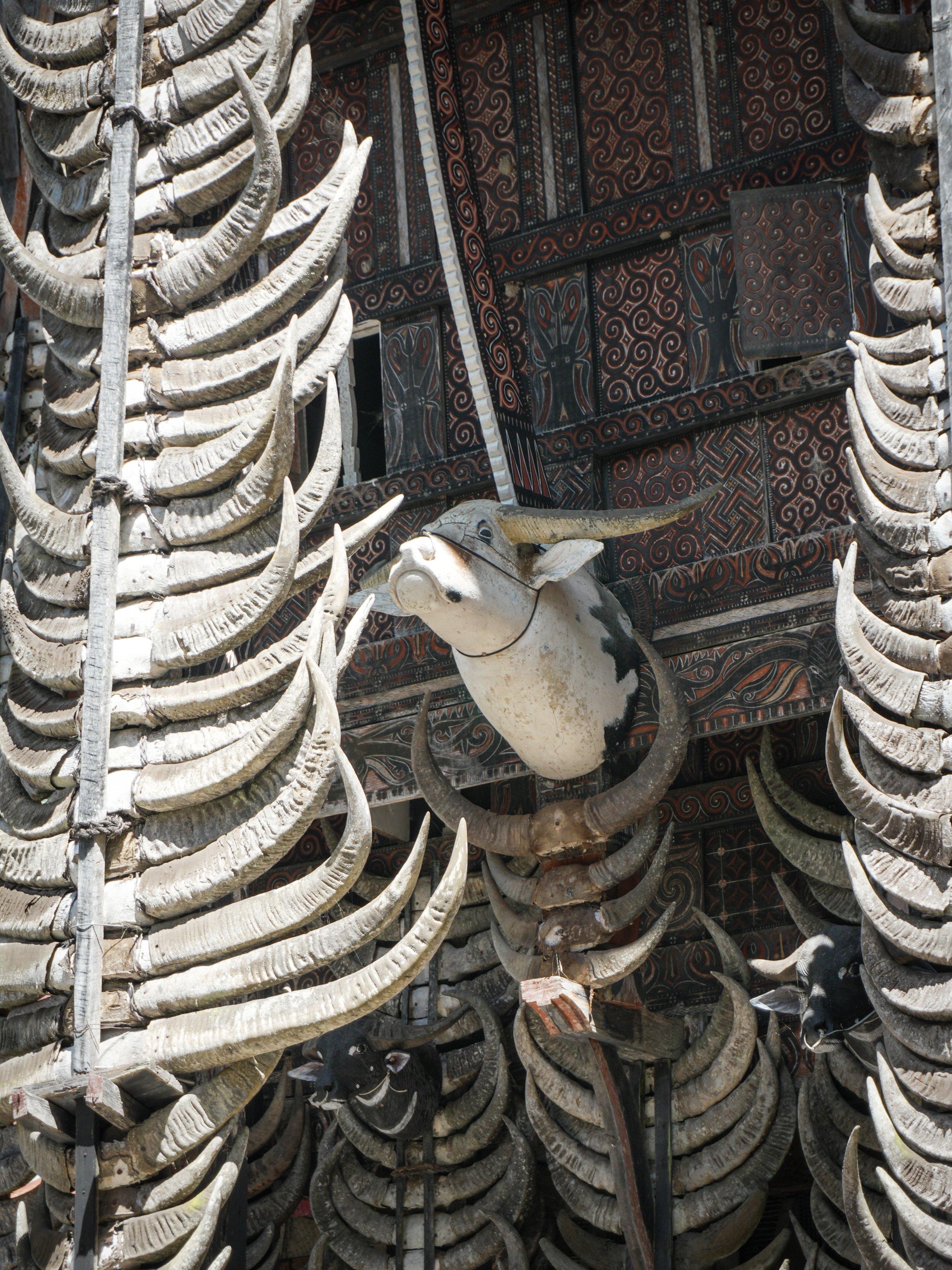 indonesia-tana-toraja-house-buffalo-horns.jpg