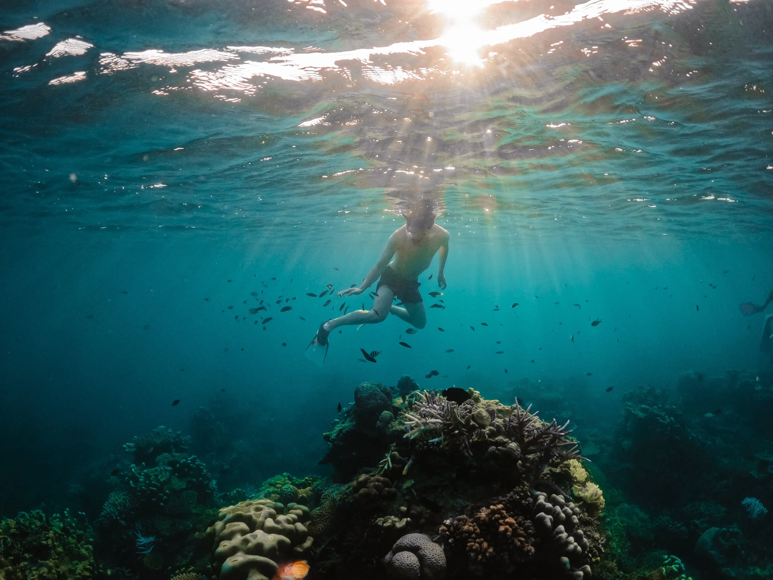 Underwater photograph of a freediver above coral reef with sun rays in Karimunjawa, Indonesia.