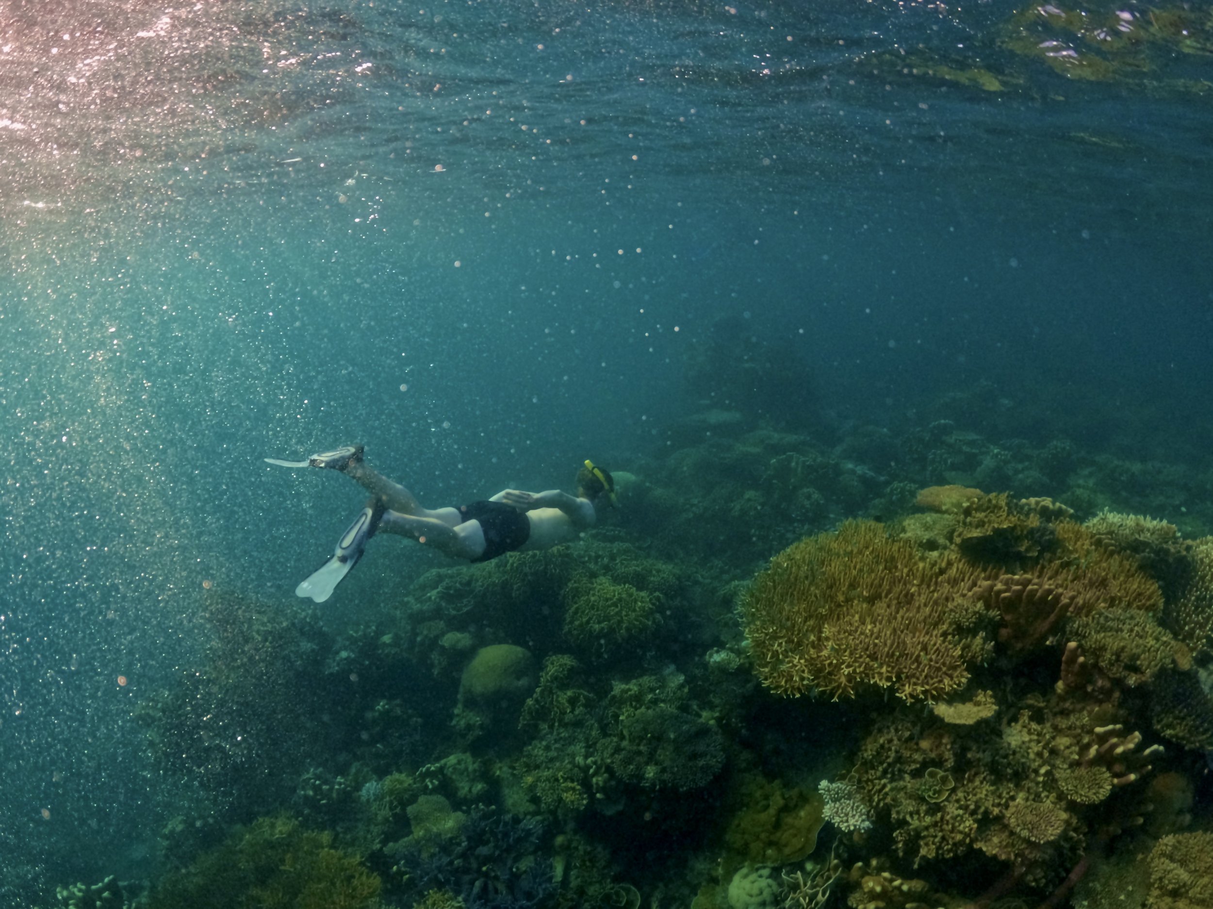 Underwater photograph of a swimmer gliding above coral reef in turquoise water, Karimunjawa, Indonesia.