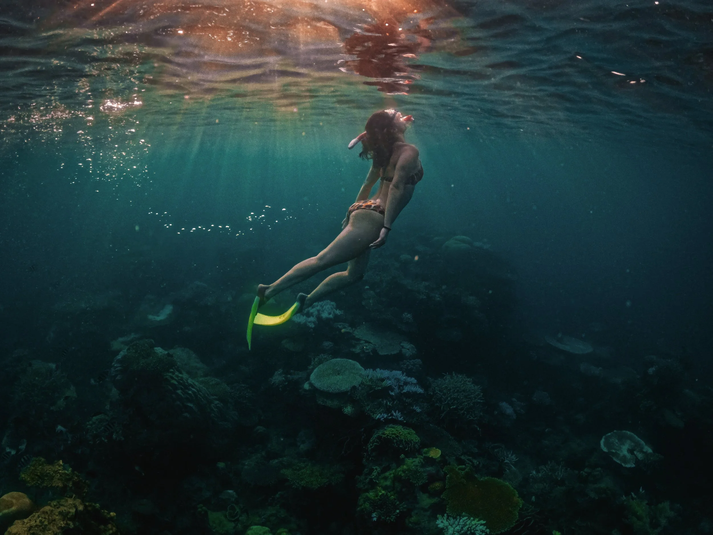 Underwater photograph of a freediver descending over coral reef in clear tropical water, Indonesia.