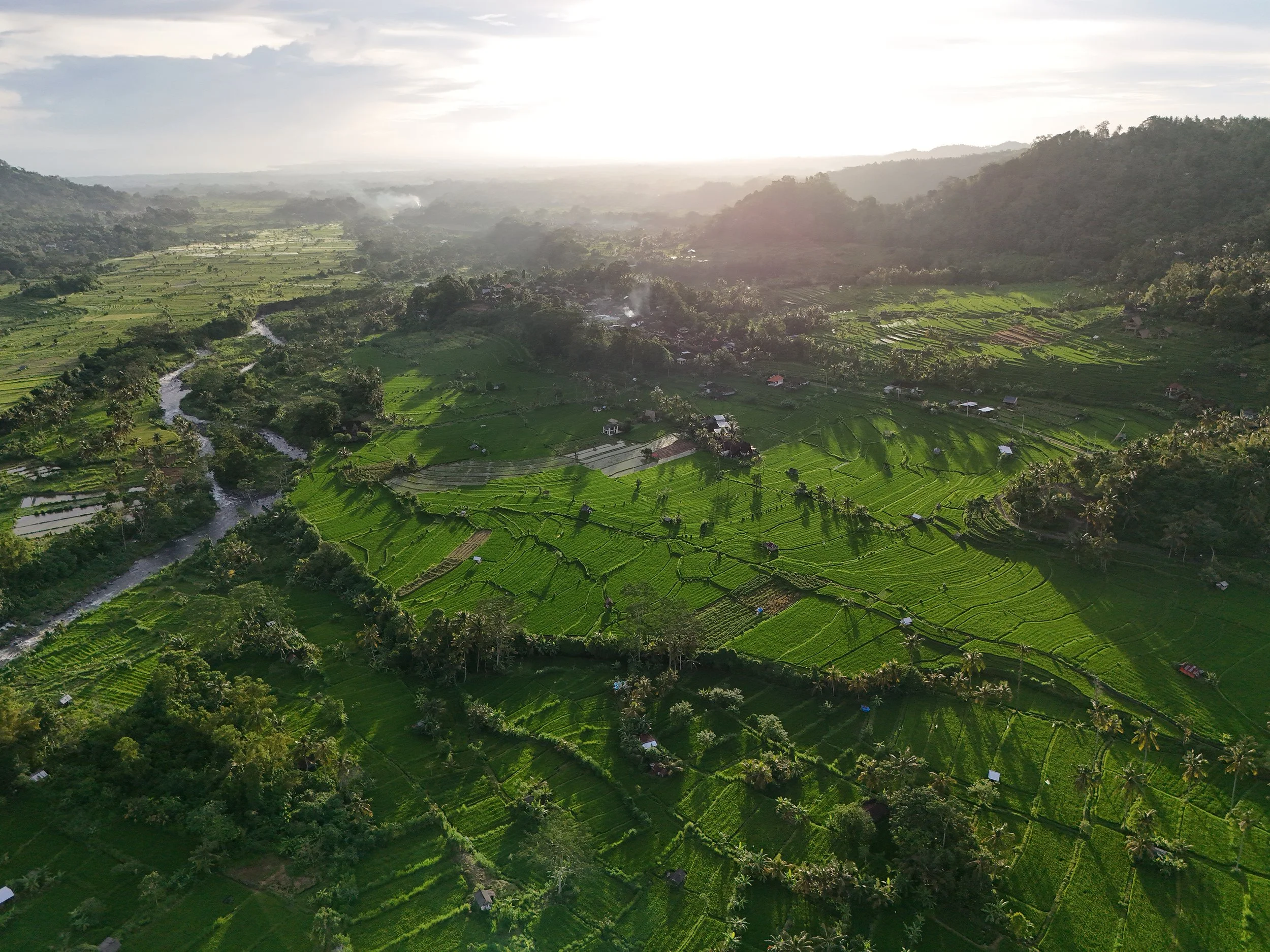 Aerial view of rural landscape at sunset in Bali, with rice paddies and palm trees stretching across the Sidemen valley.