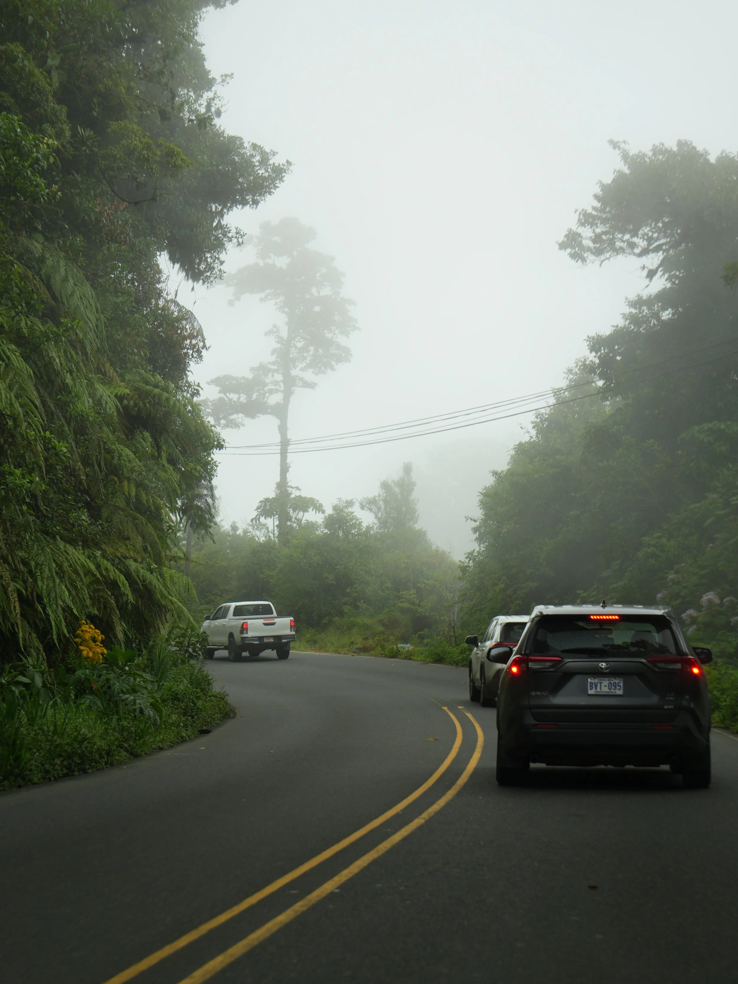 Mountain road crossing through misty rainforest in the Cordillera de Talamanca range, Costa Rica.