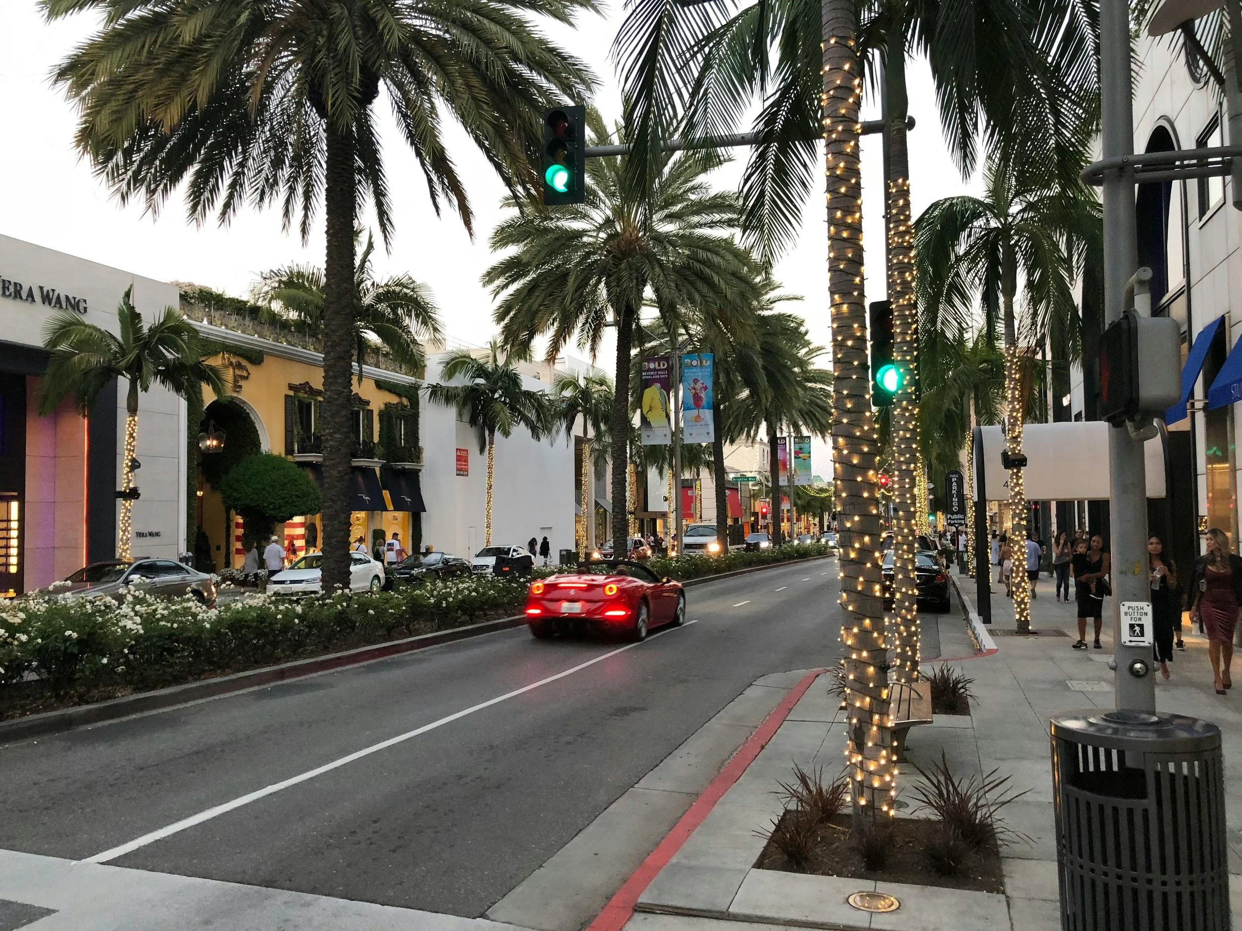 Palm-lined city street with cars driving under a green traffic light