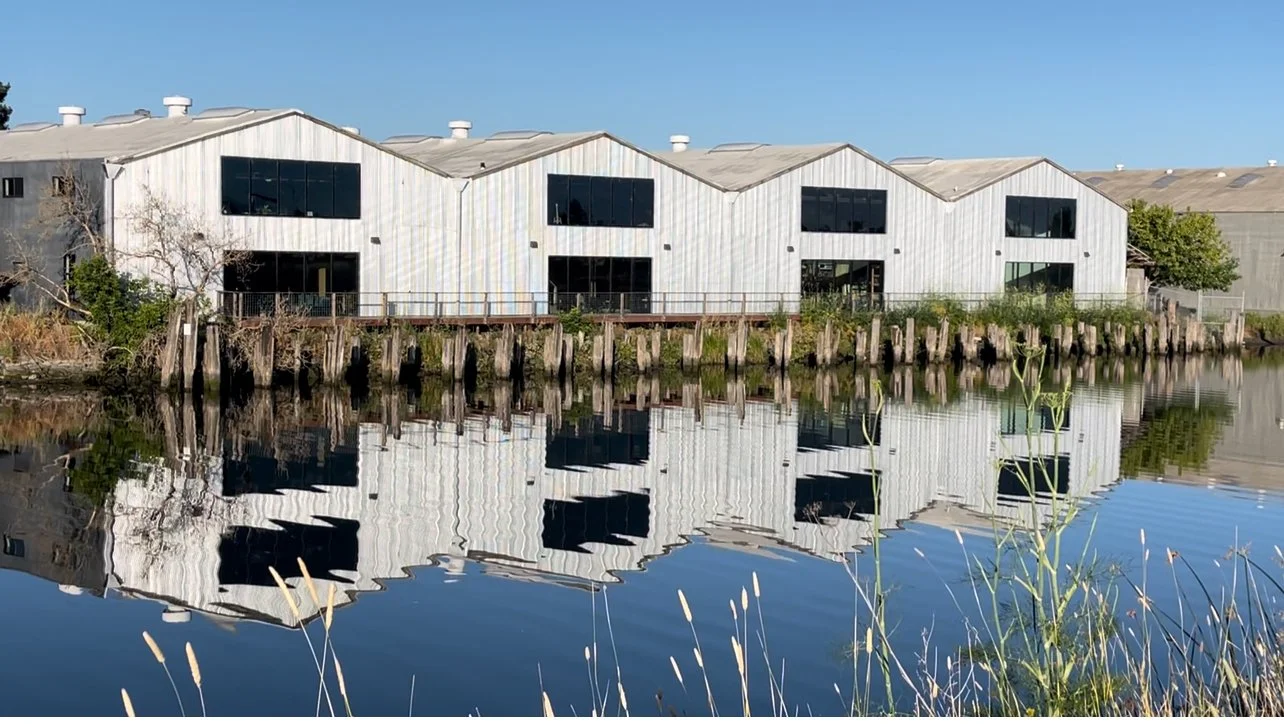 Modern white buildings with large black windows next to a body of water, with their reflection visible in the water and tall grasses in the foreground.