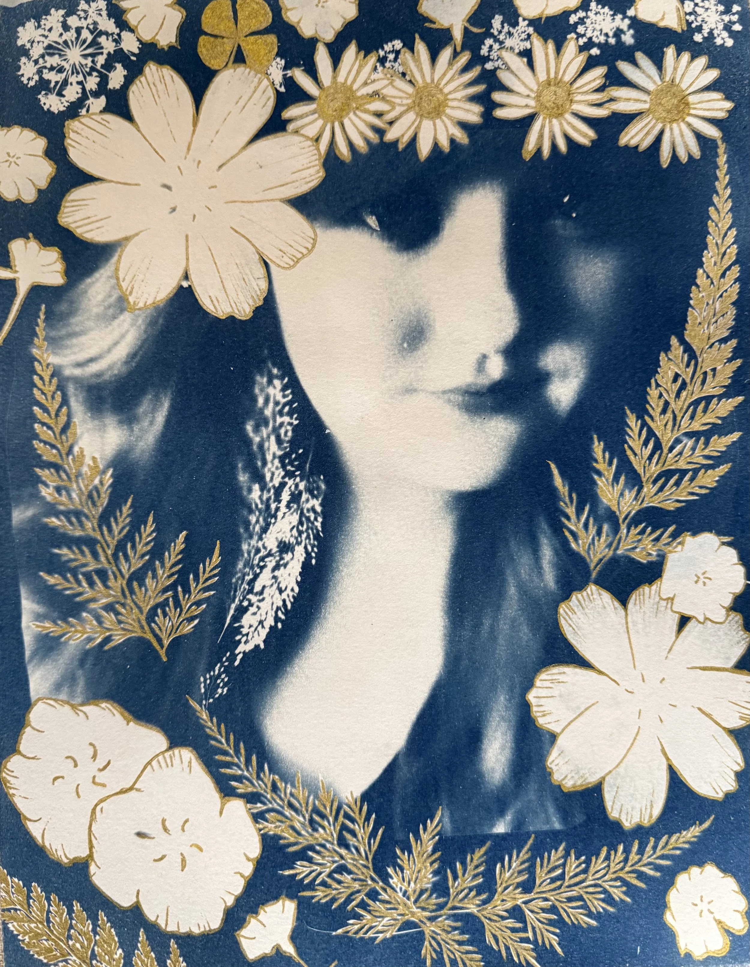 Cyanotypes