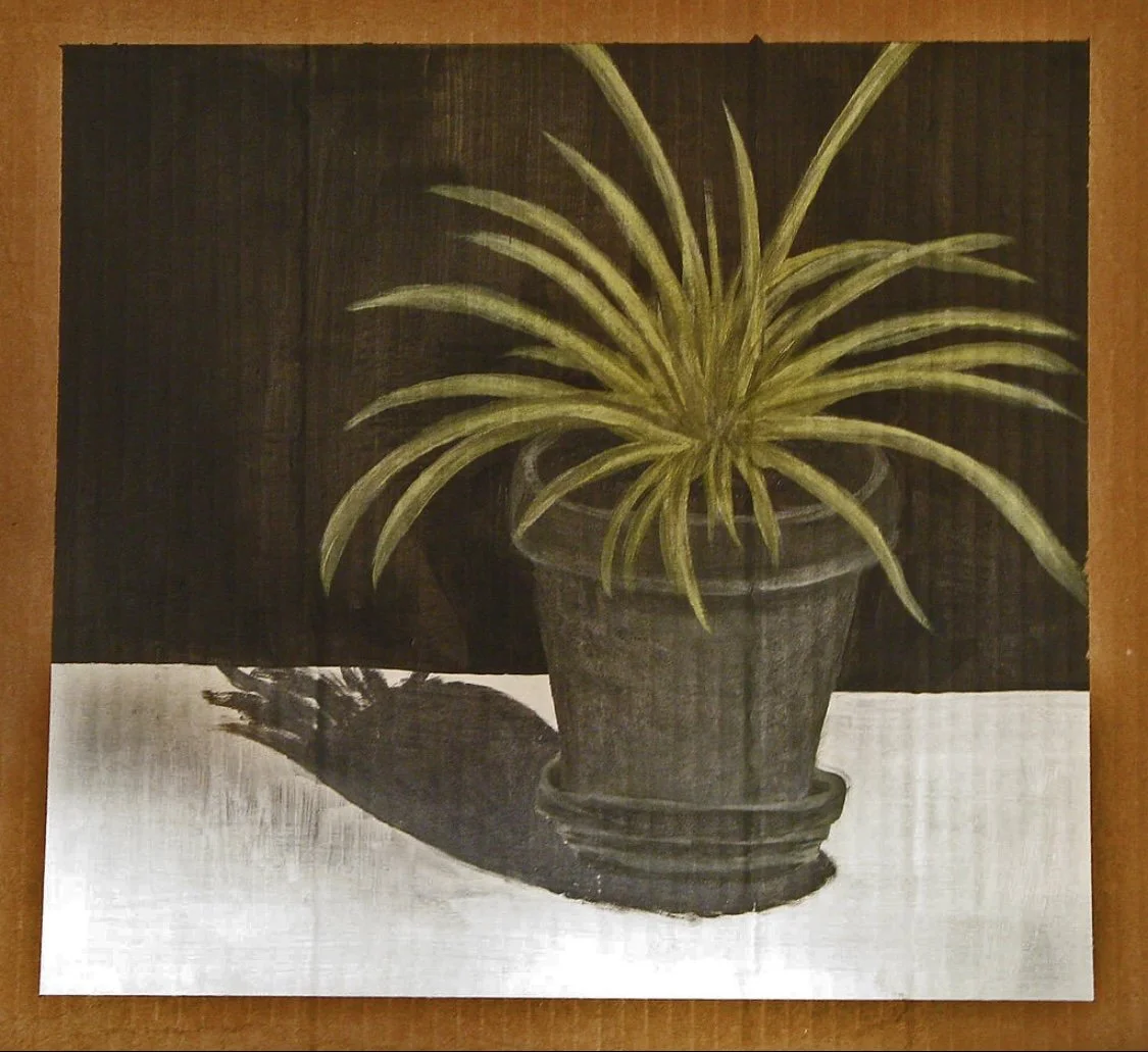 Spider Plant - 12"X12" - Acrylic on Cardboard