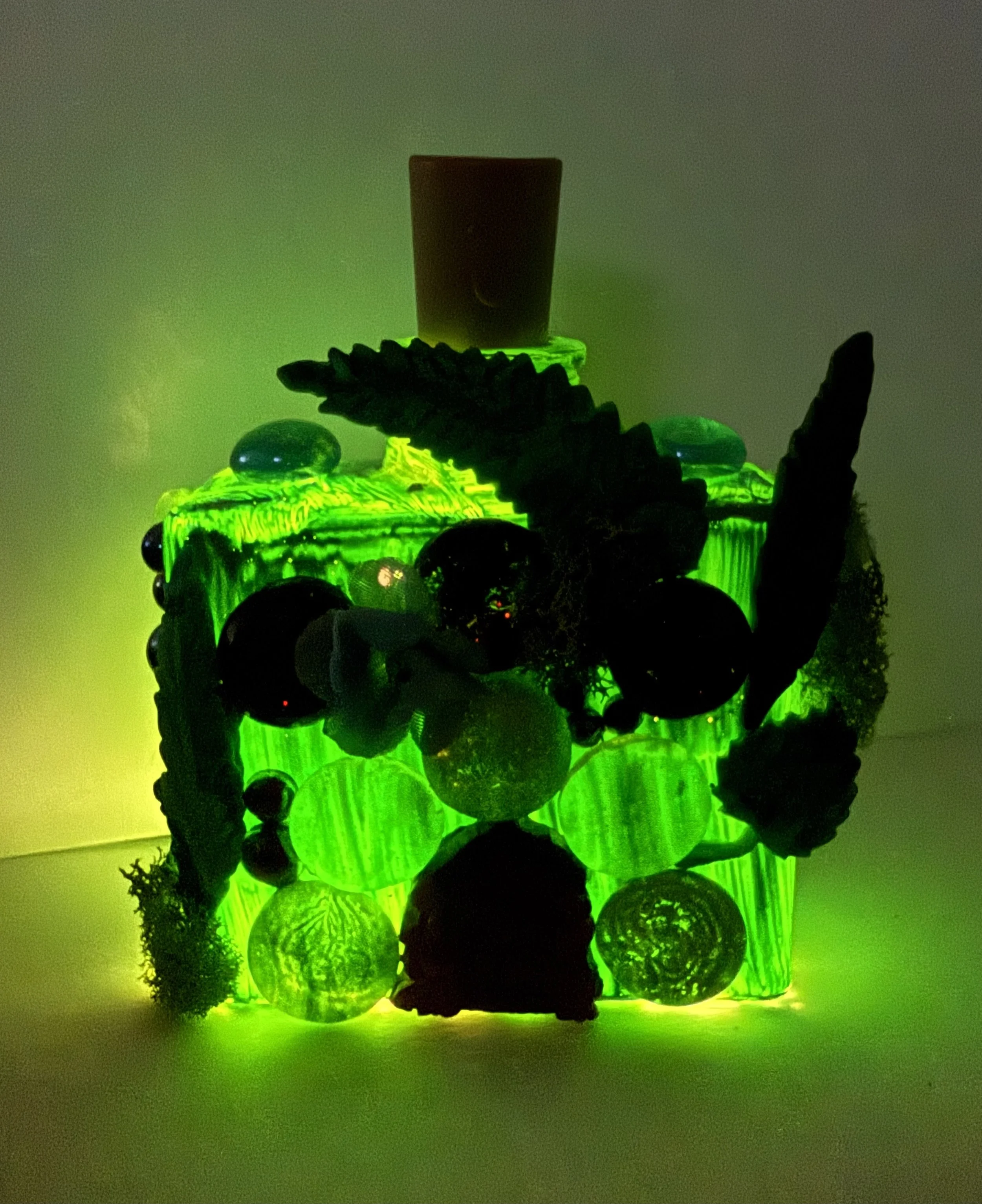 Fairy Bottles by Daisy Budde