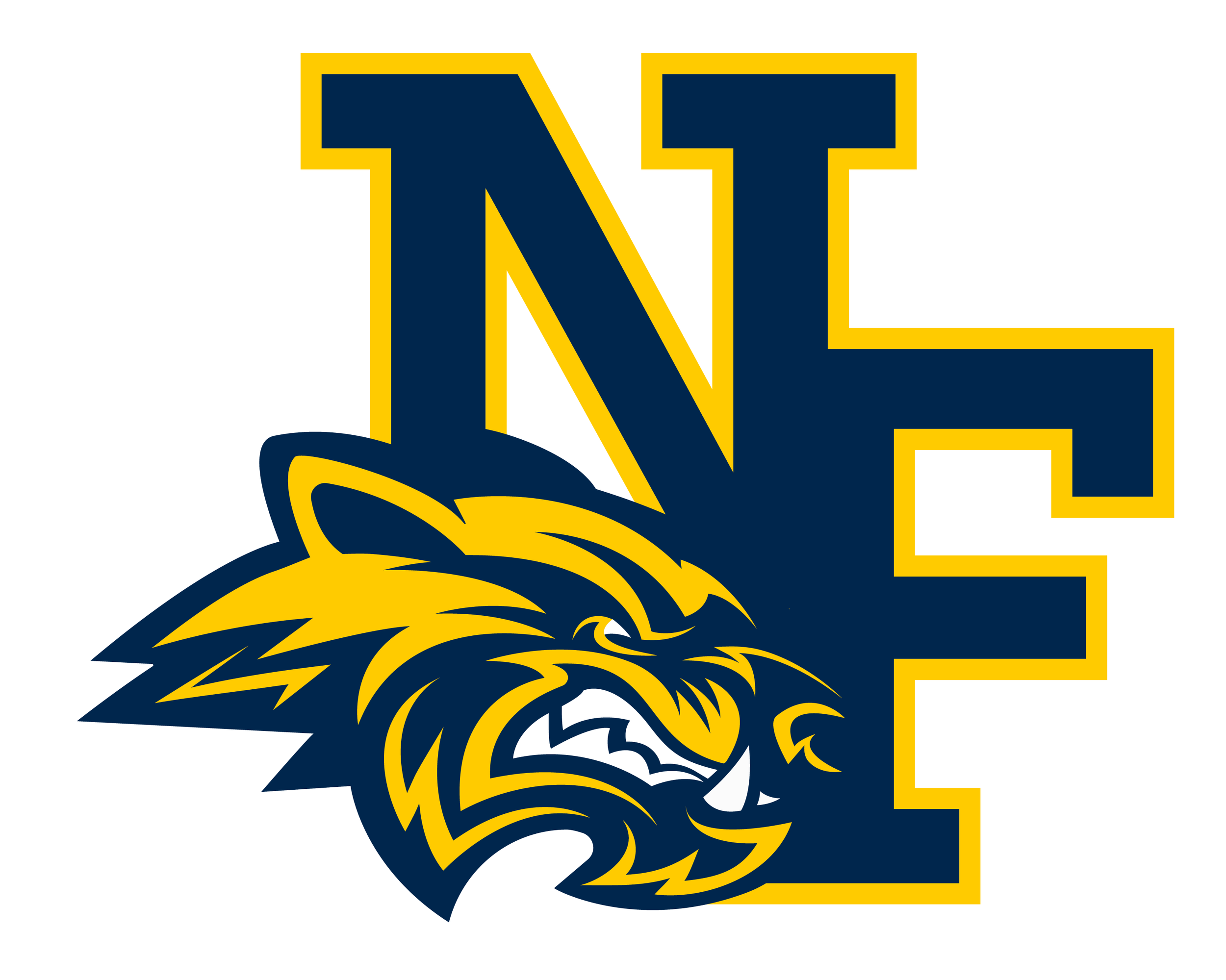 Niagara Falls City School District _PrimaryLettermarkStack-02.png