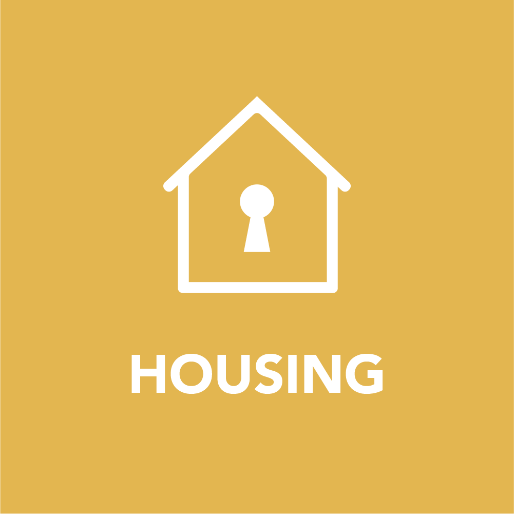 Creating mixed-income developments, affordable rental options, homeownership pathways, and education that builds long-term stability and family wealth. 
