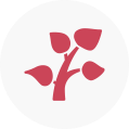 Health and Wellness