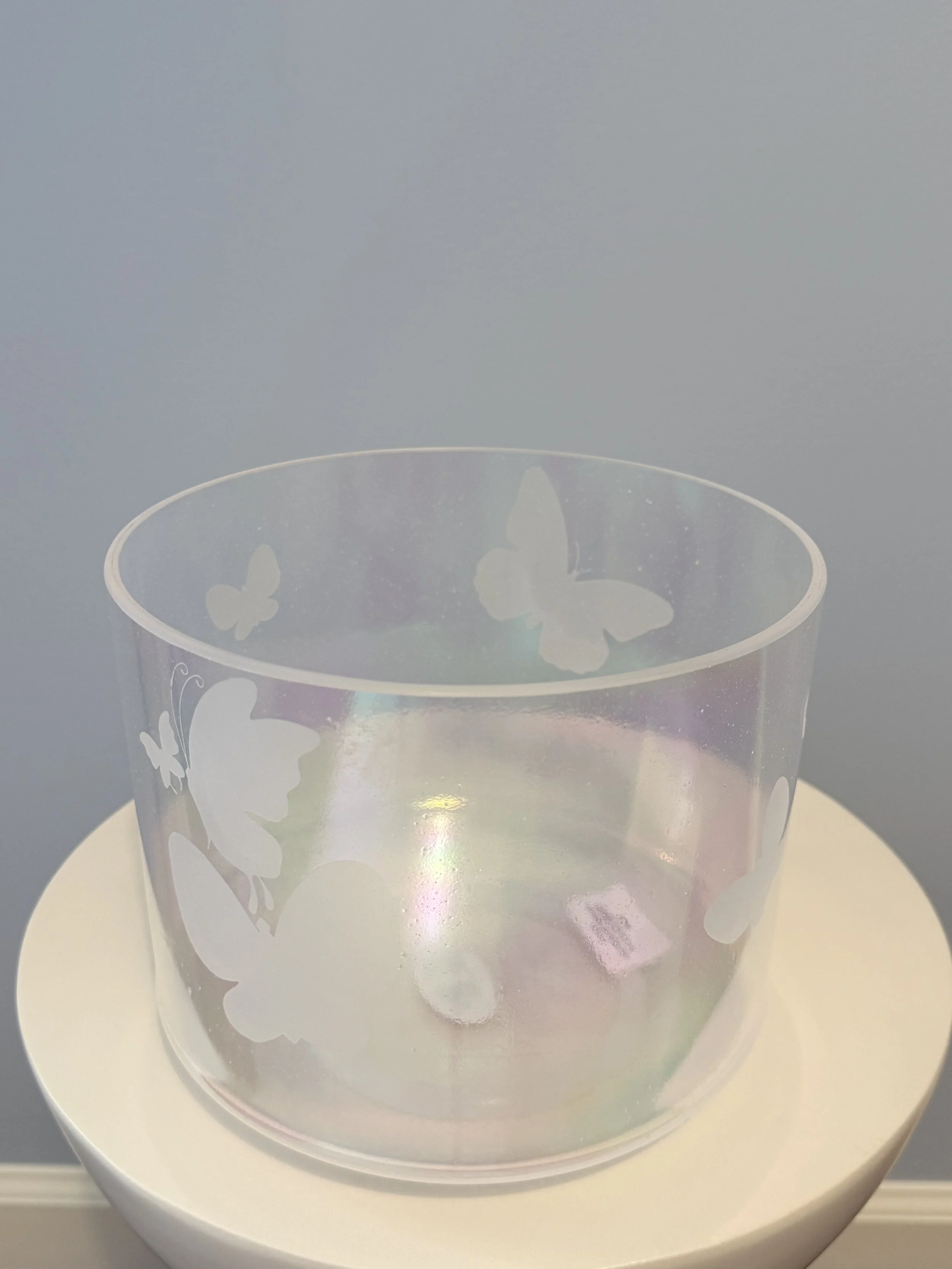 8" E+25 Platinum W/ Medium Etched Butterflies