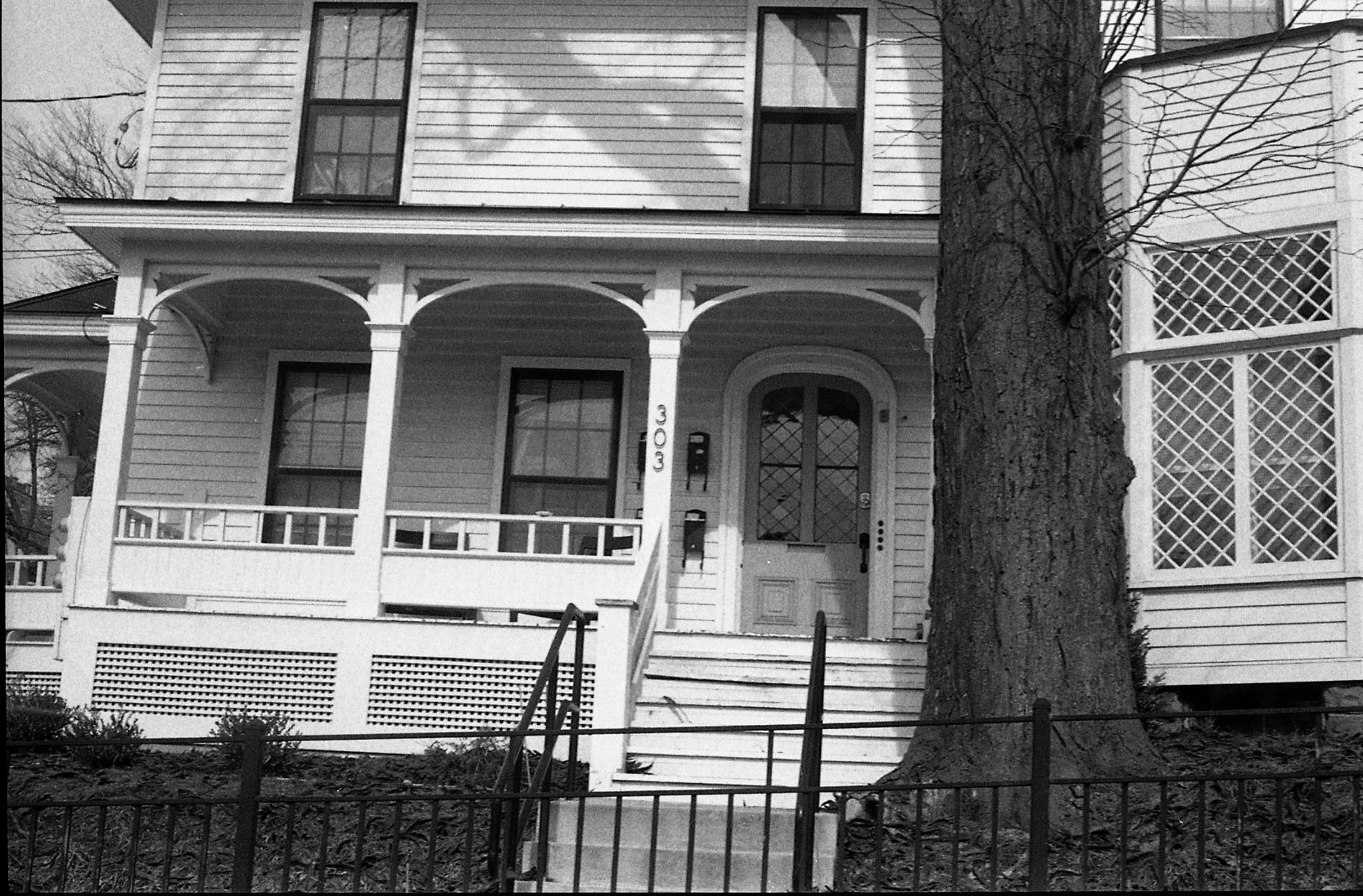 stella L & S roll 1011.jpeg