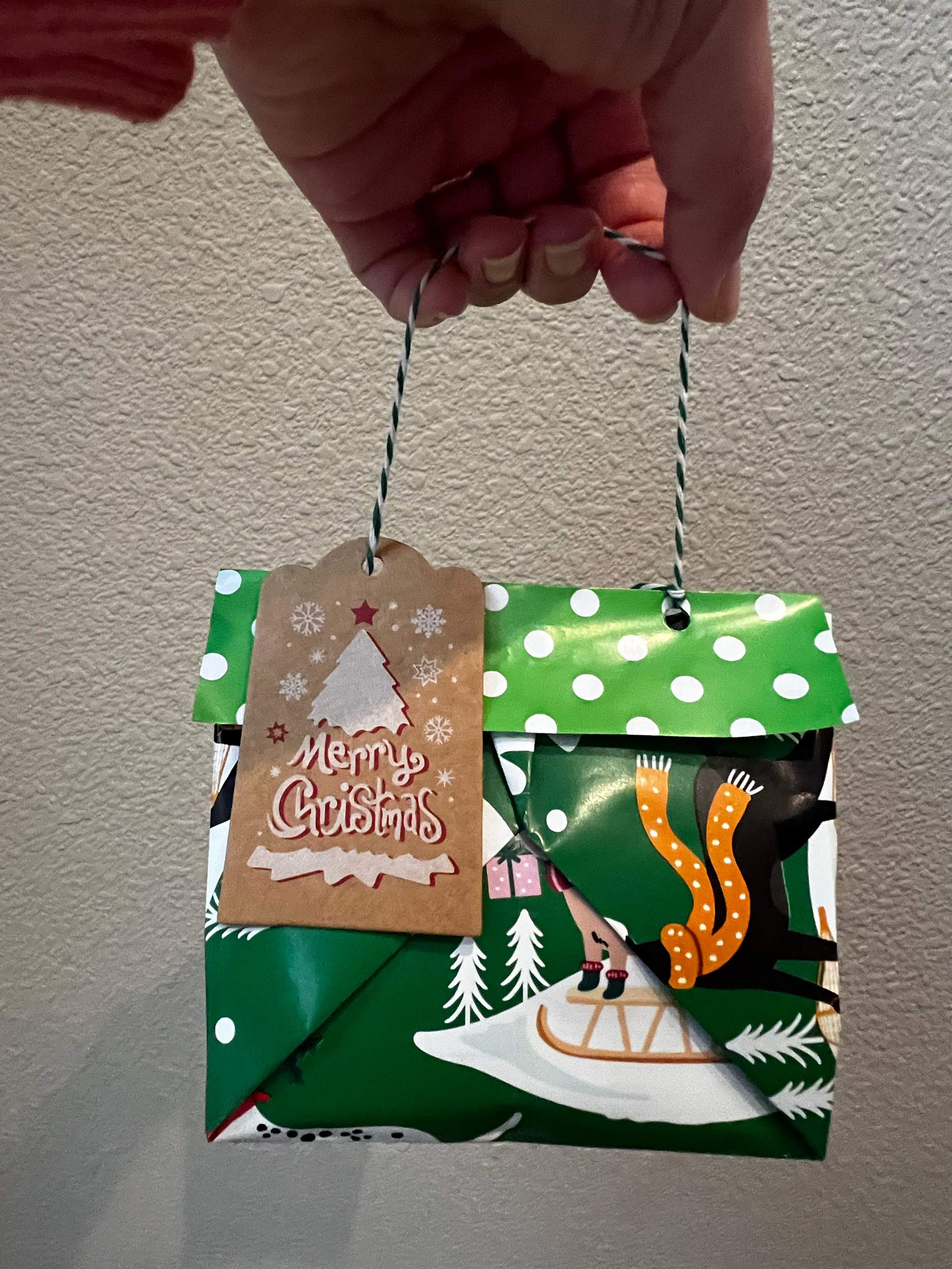 A hand holding a small Christmas gift wrapped in colorful paper with a winter scene, and a brown gift tag that reads 'Merry Christmas' with a Christmas tree design.
