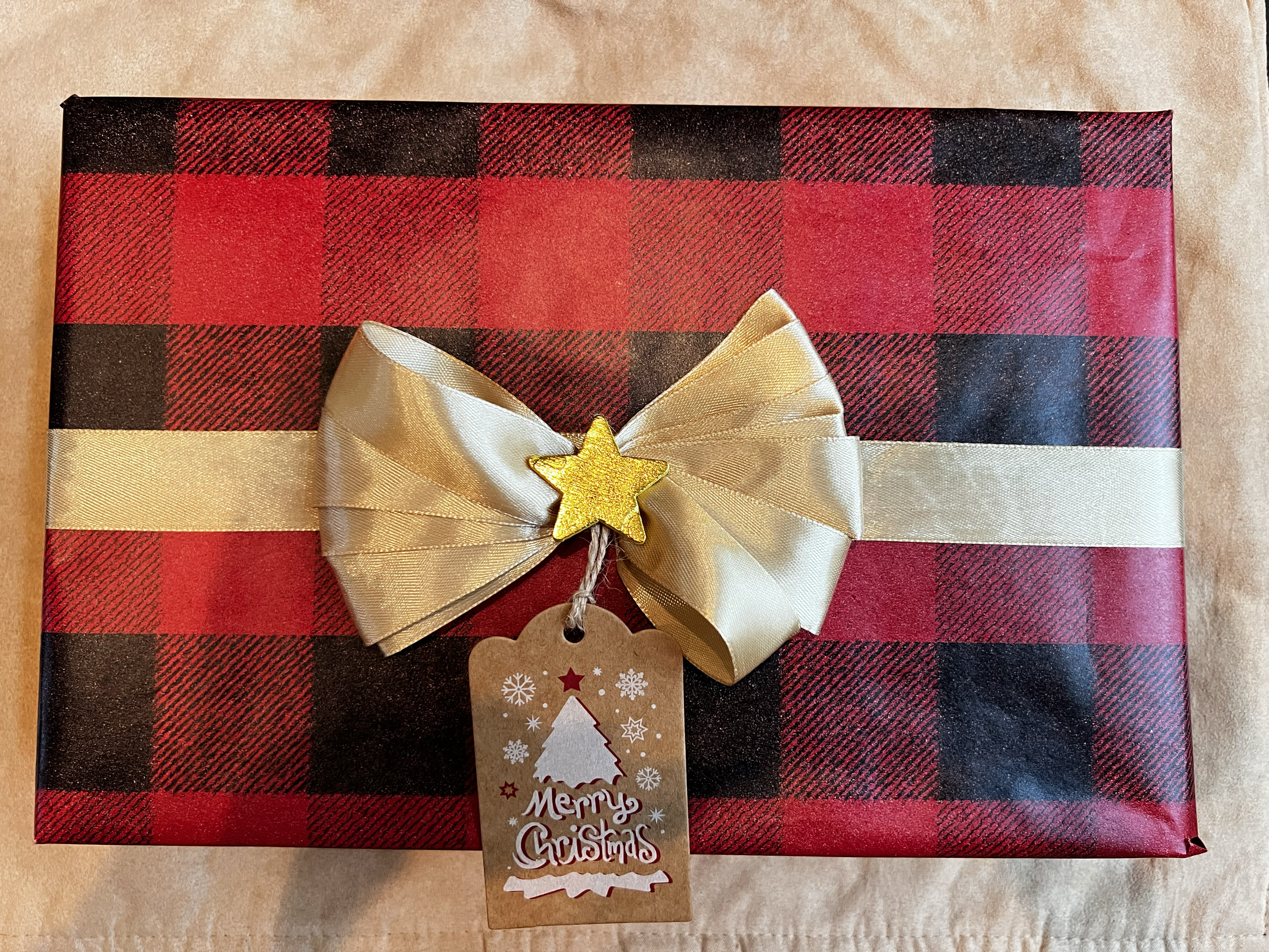 A Christmas gift wrapped in red and black buffalo plaid paper, decorated with a gold satin ribbon and bow, a gold star ornament, and a 'Merry Christmas' tag with a Christmas tree illustration.